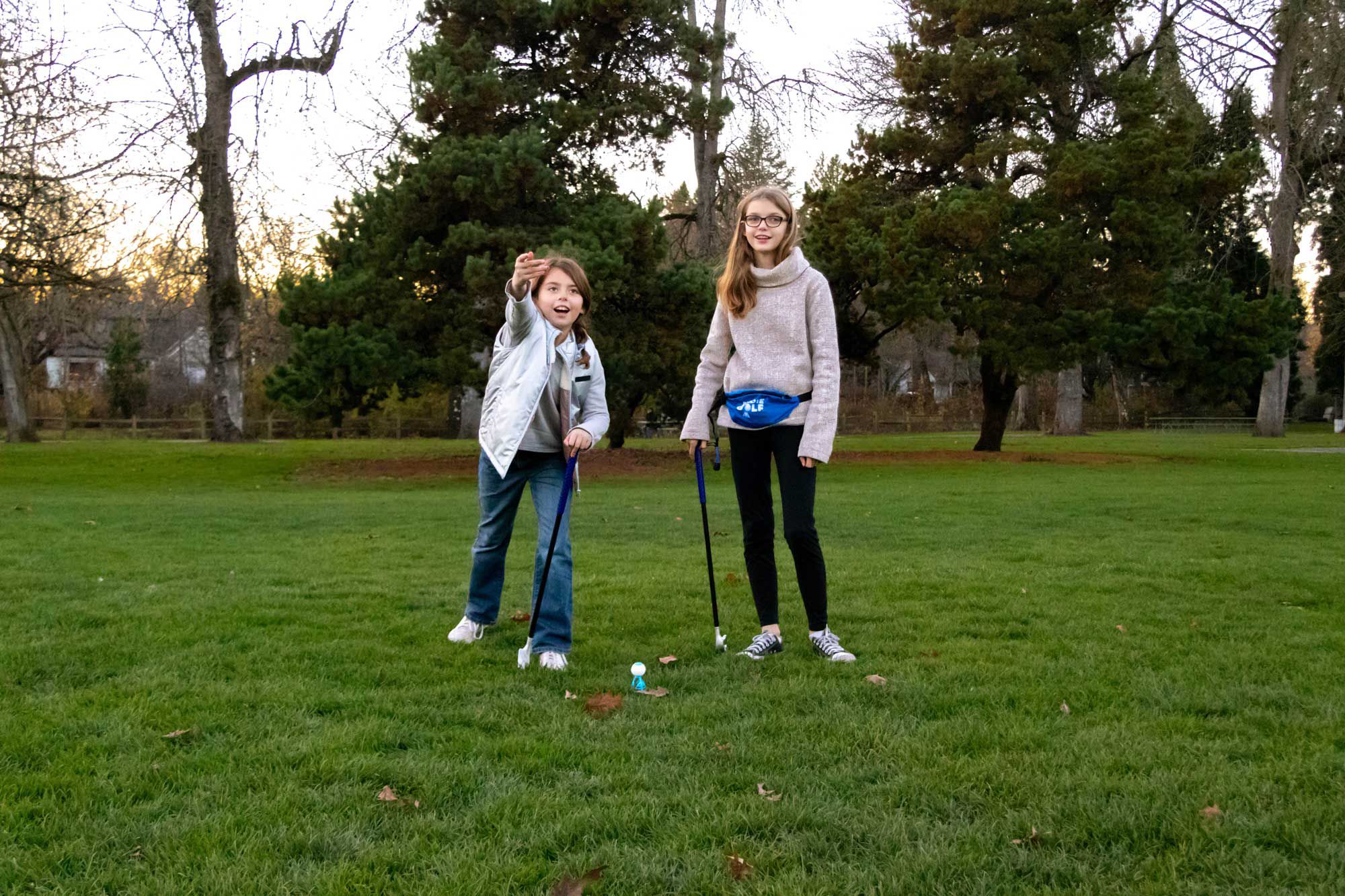 Hog Wild Birdie Golf product image