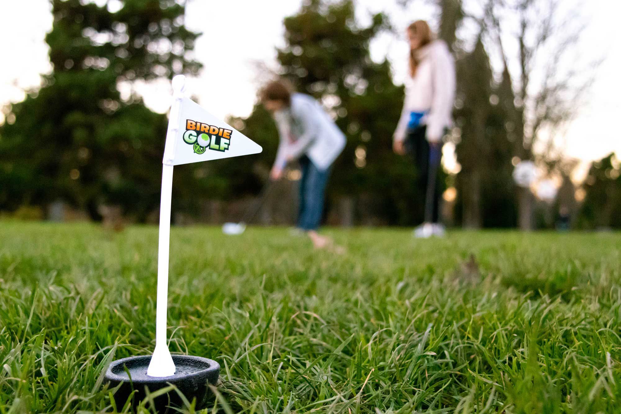 Hog Wild Birdie Golf product image