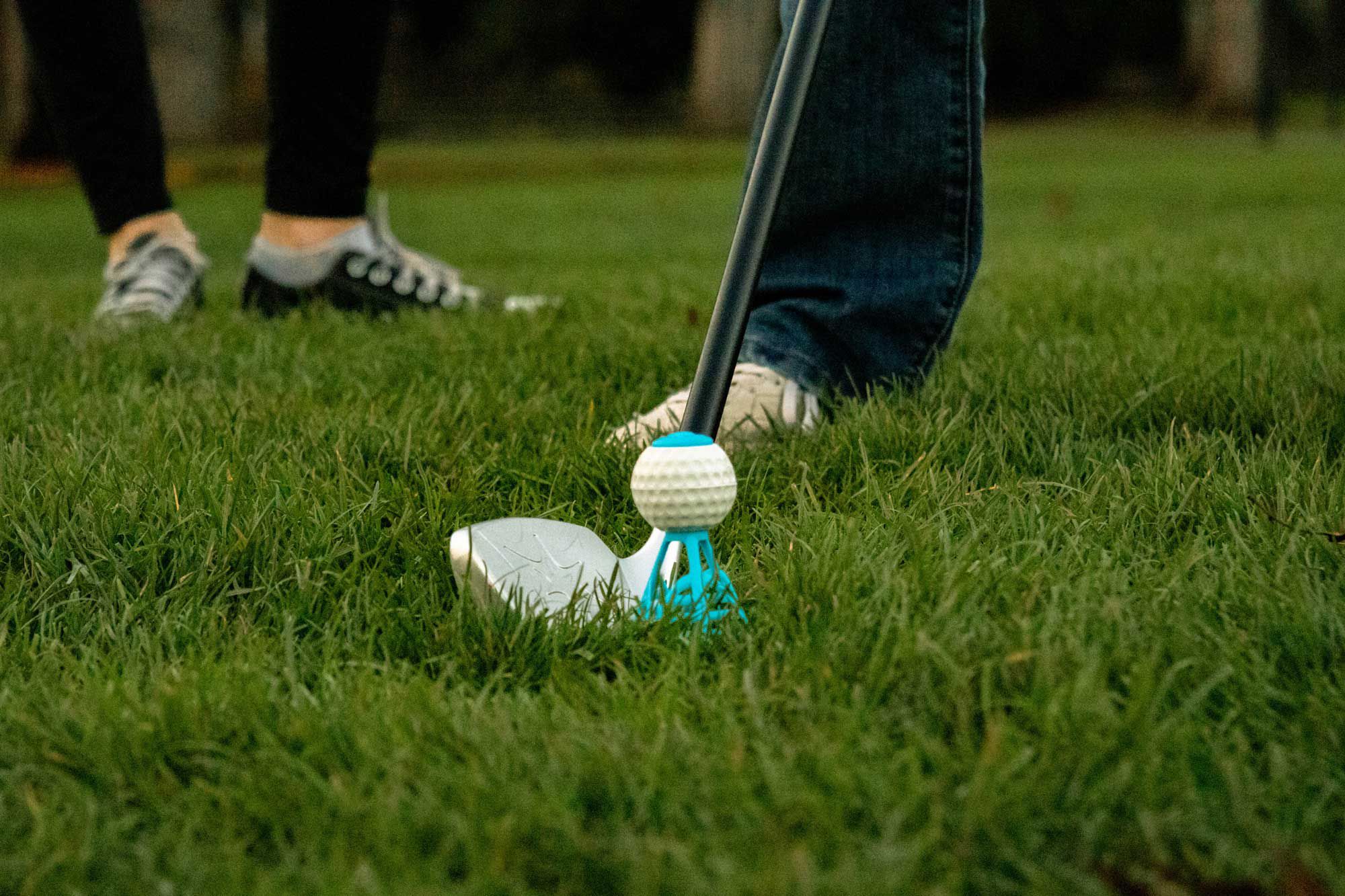 Hog Wild Birdie Golf product image