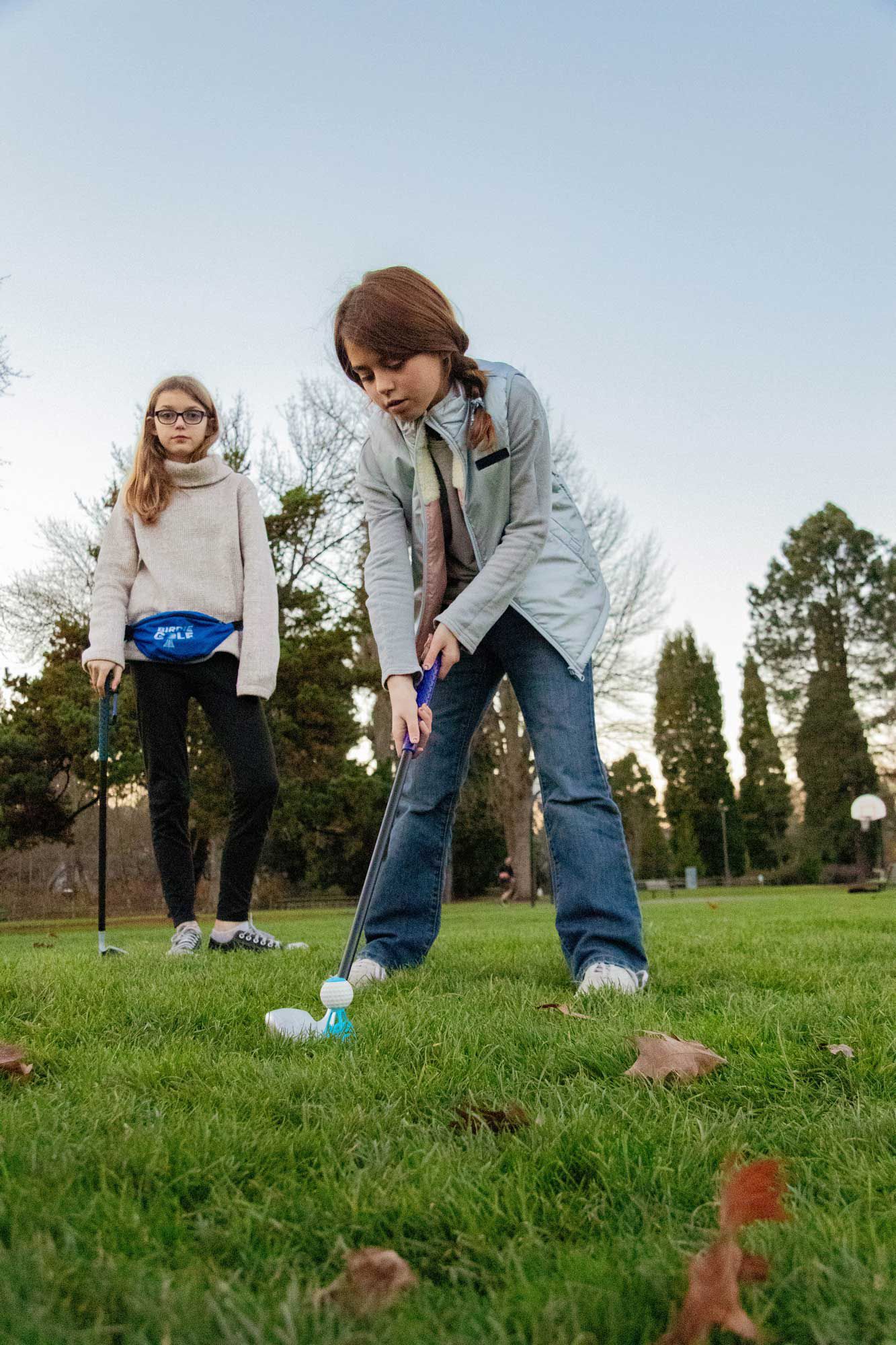 Hog Wild Birdie Golf product image