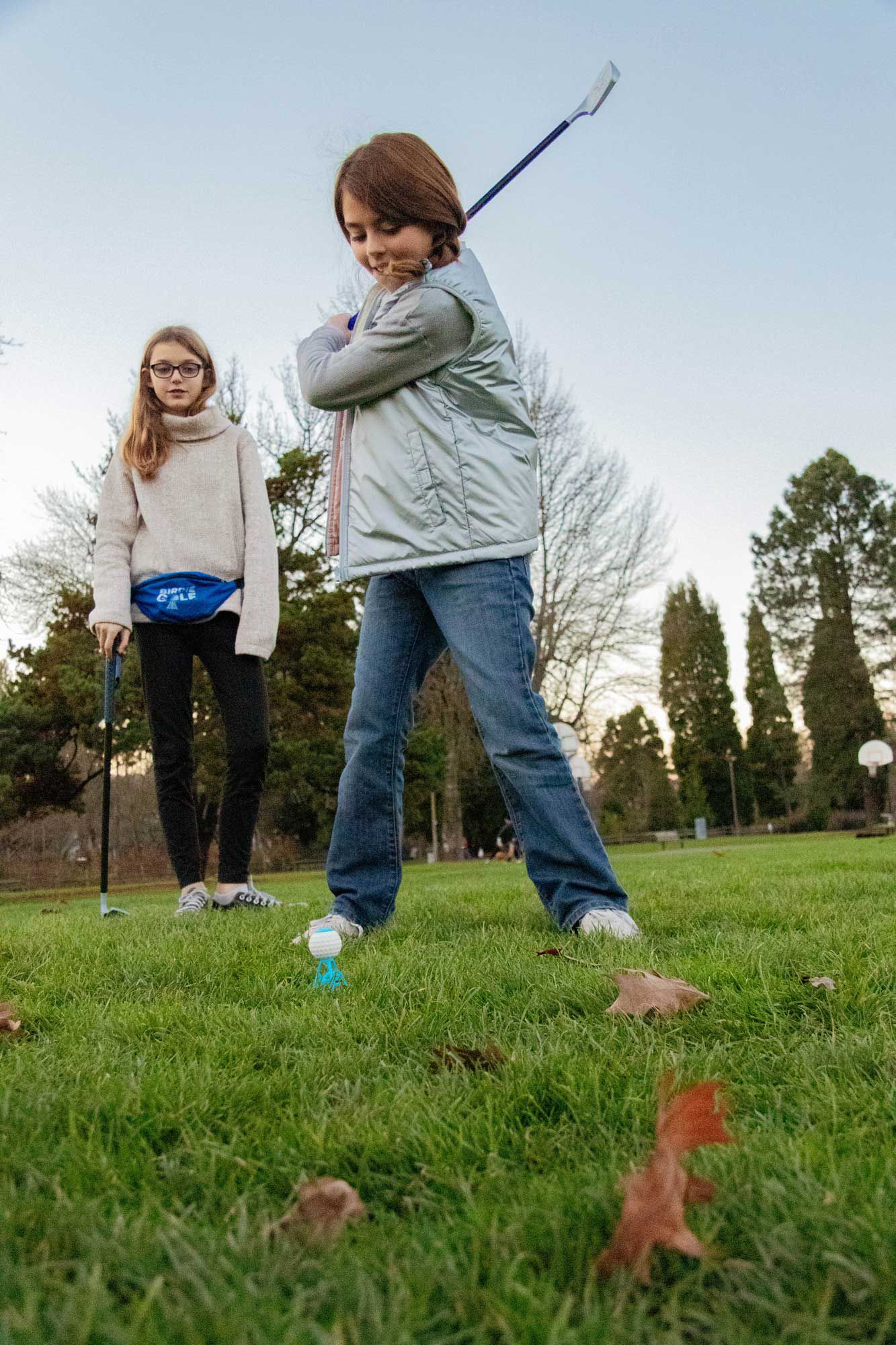 Hog Wild Birdie Golf product image