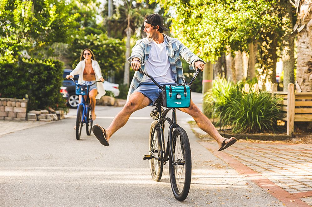 IceMule Impulse 4.5L Cooler product image