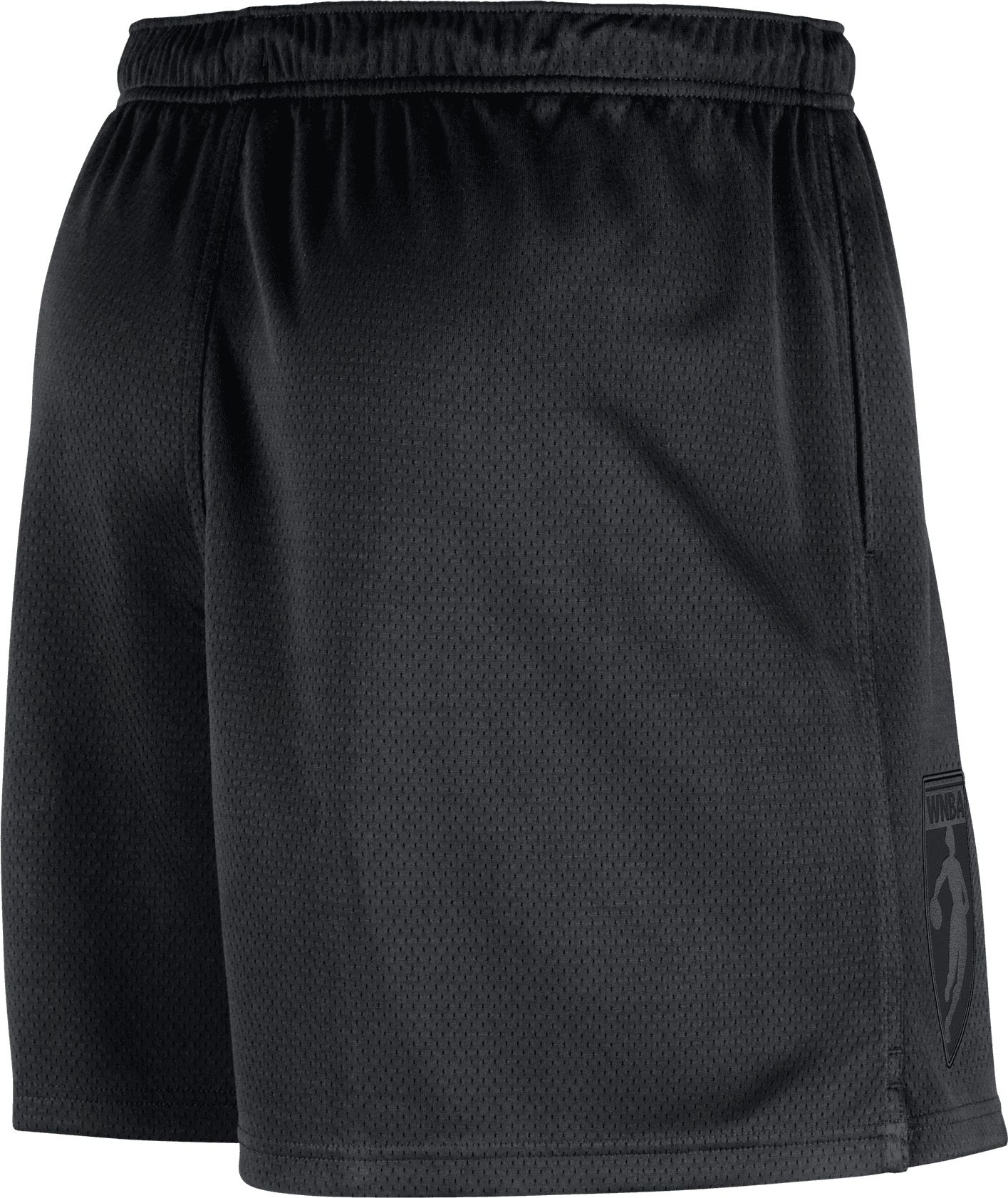 Nike Men's WNBA League 30th Anniversary Legends Mesh Shorts product image