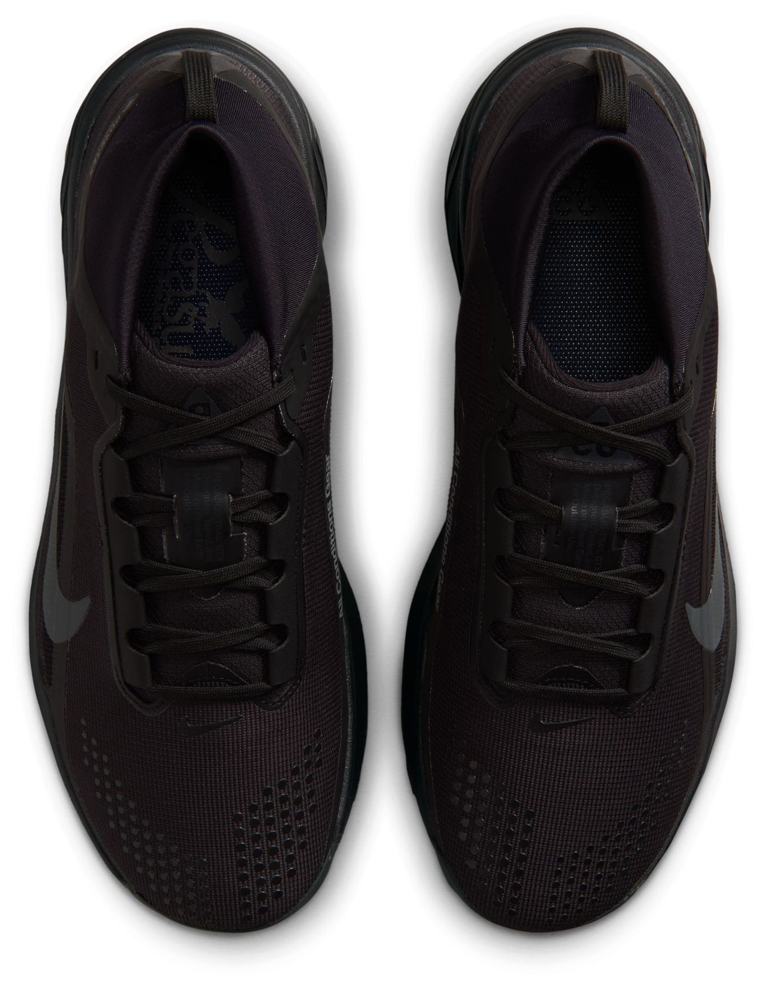 Nike Men's ACG Pegasus Trail GORE-TEX Trail Running Shoes product image