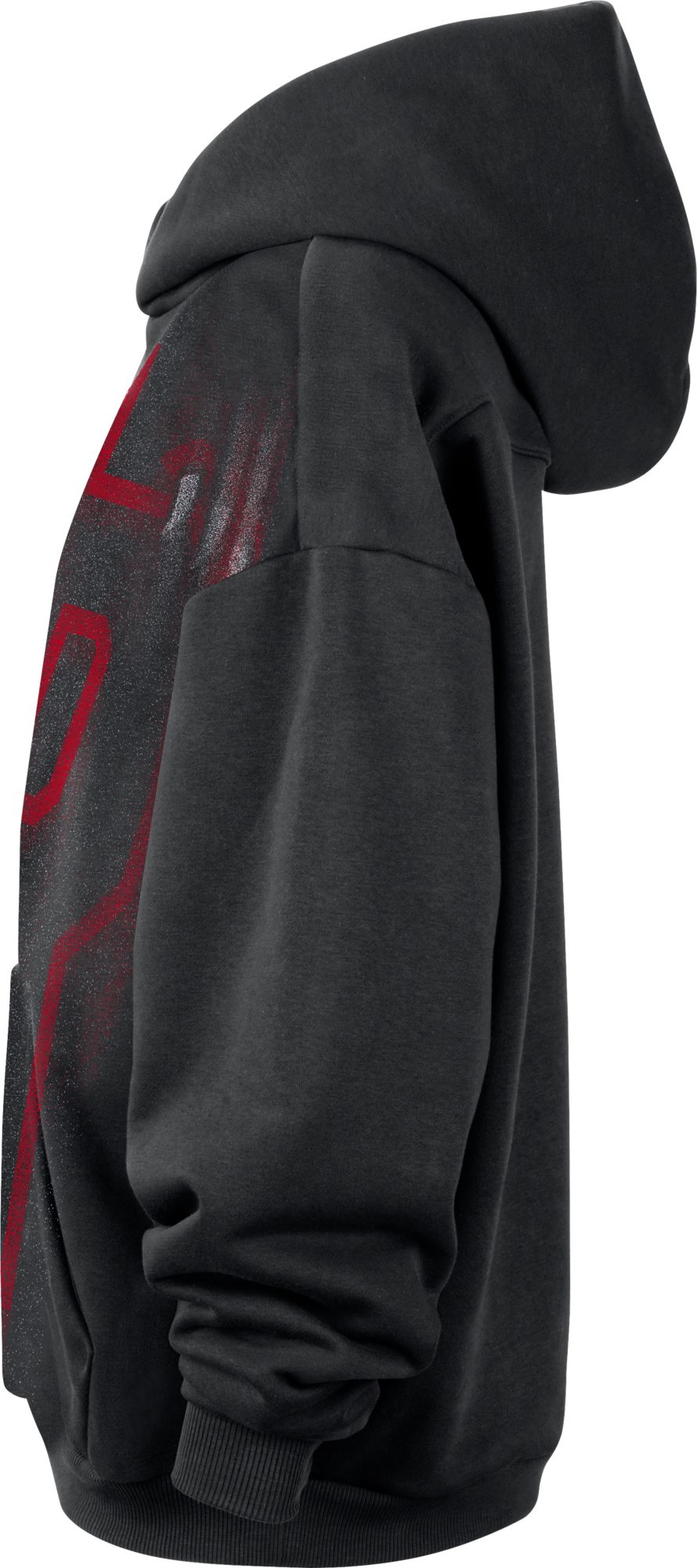 Nike Adult Toronto Raptors Worn With Obsession Standard Issue Therma Fleece Icon Hoodie product image