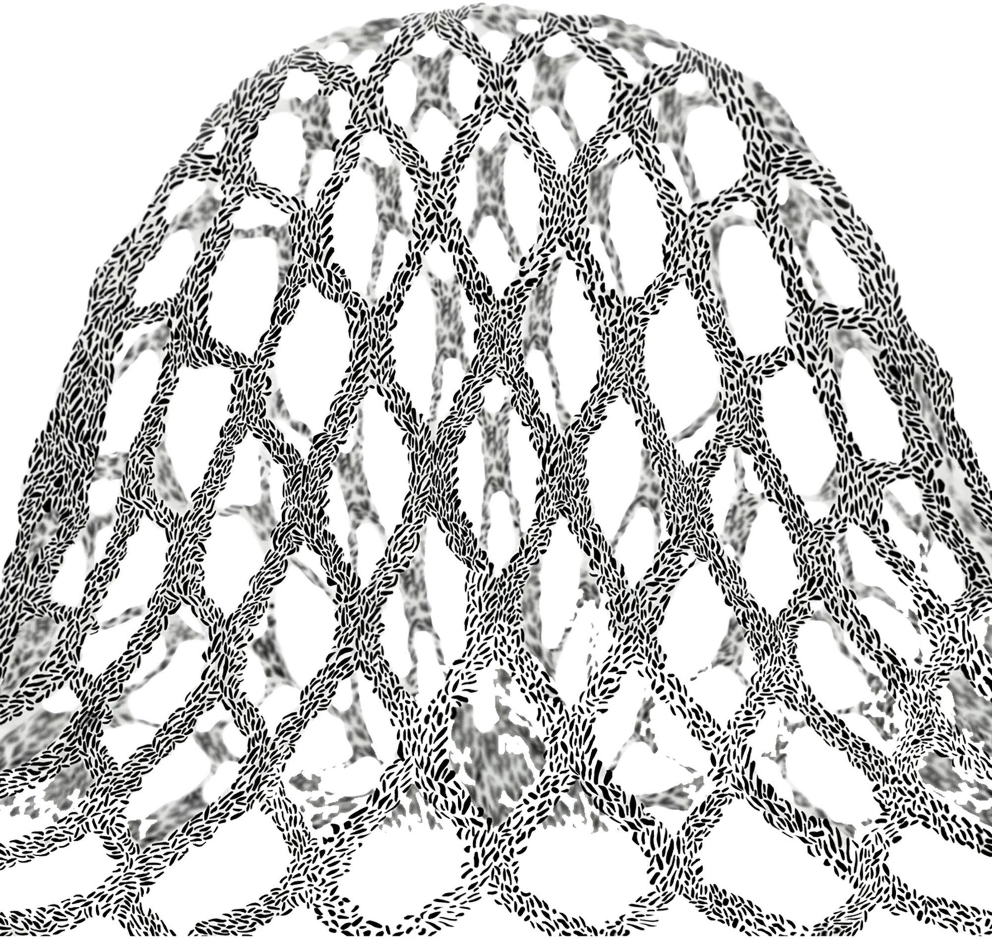 StringKing Type 5X Semi-Hard Lacrosse Mesh Stringing Kit product image
