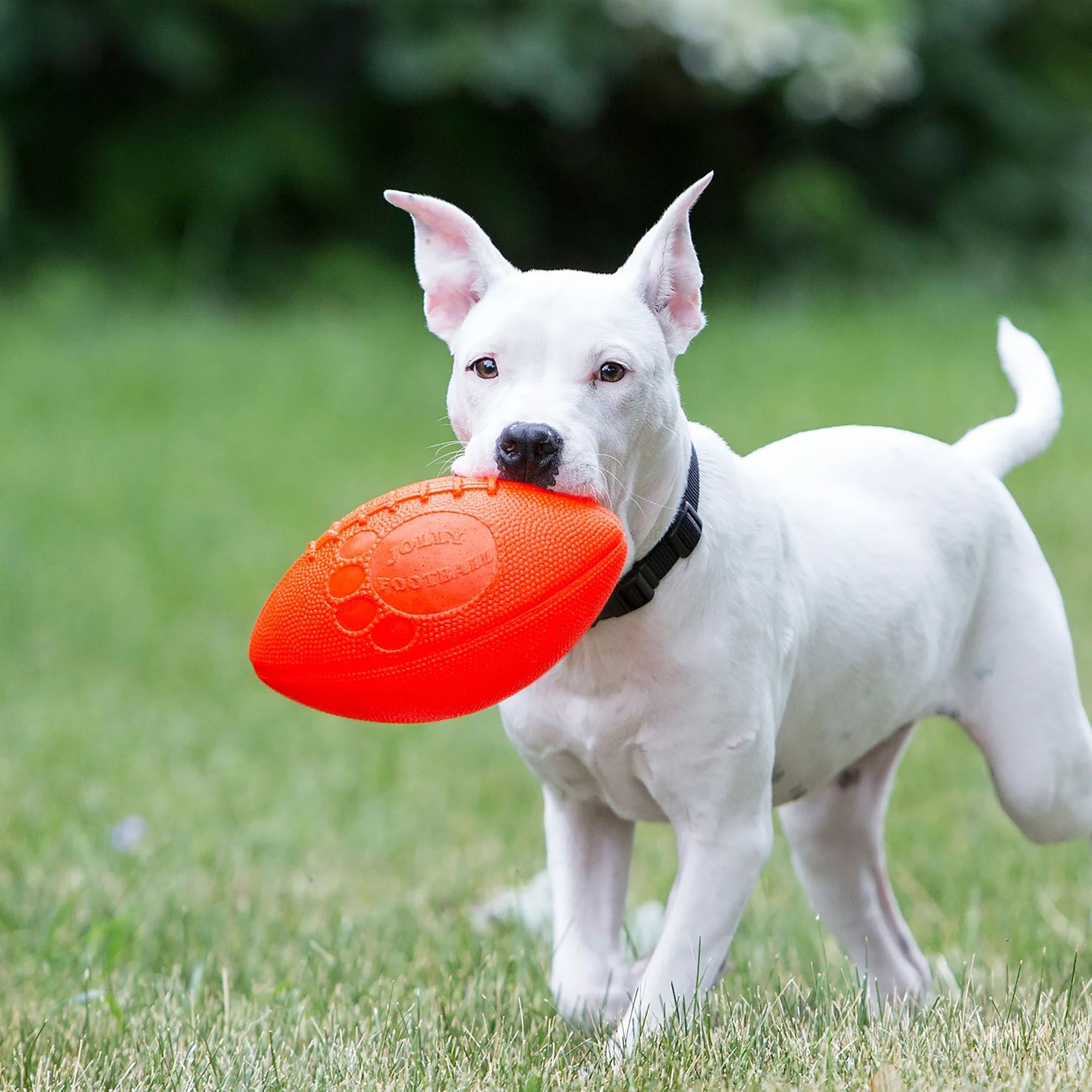 Jolly Pets 8" Football product image