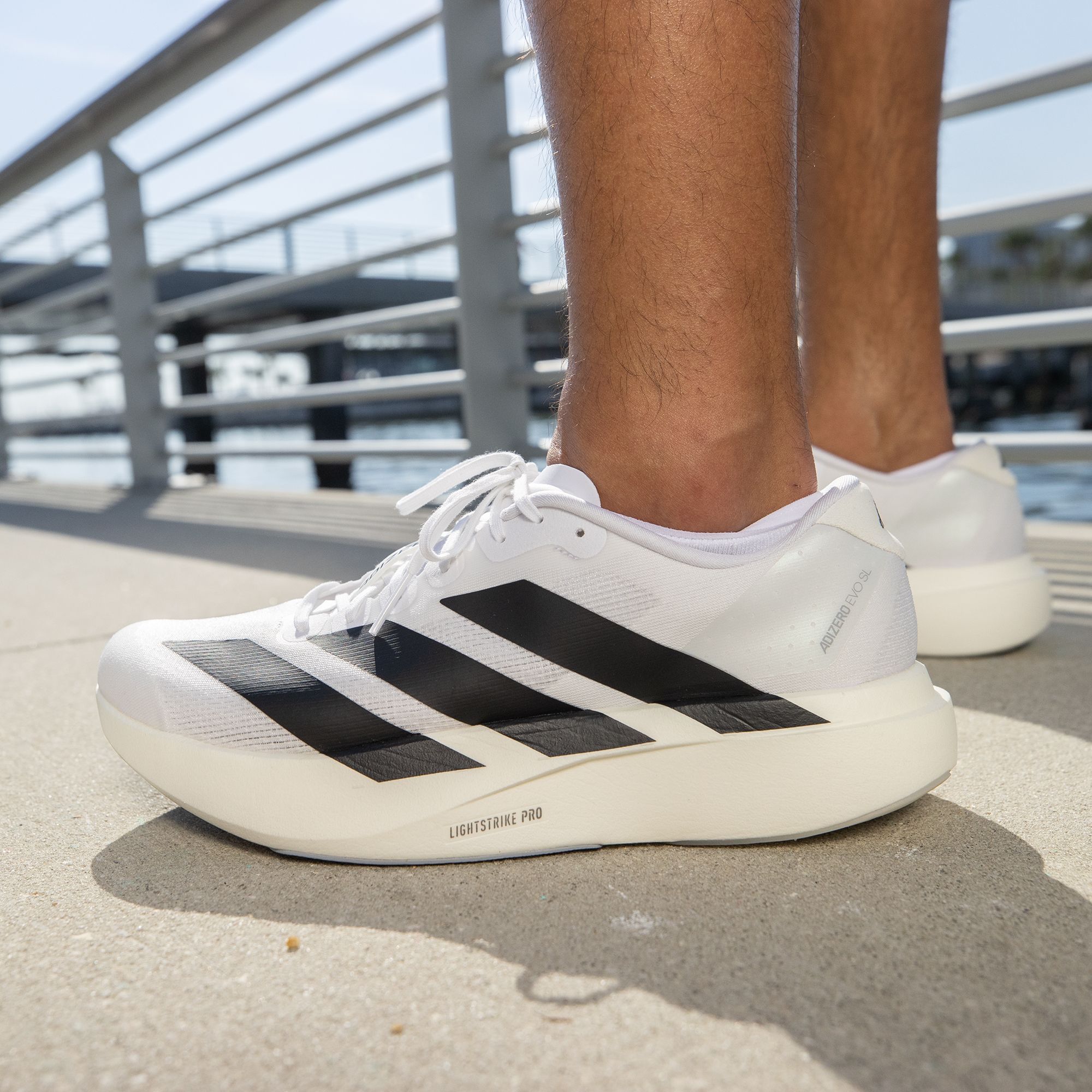 adidas Men's Adizero EVO SL Running Shoes product image