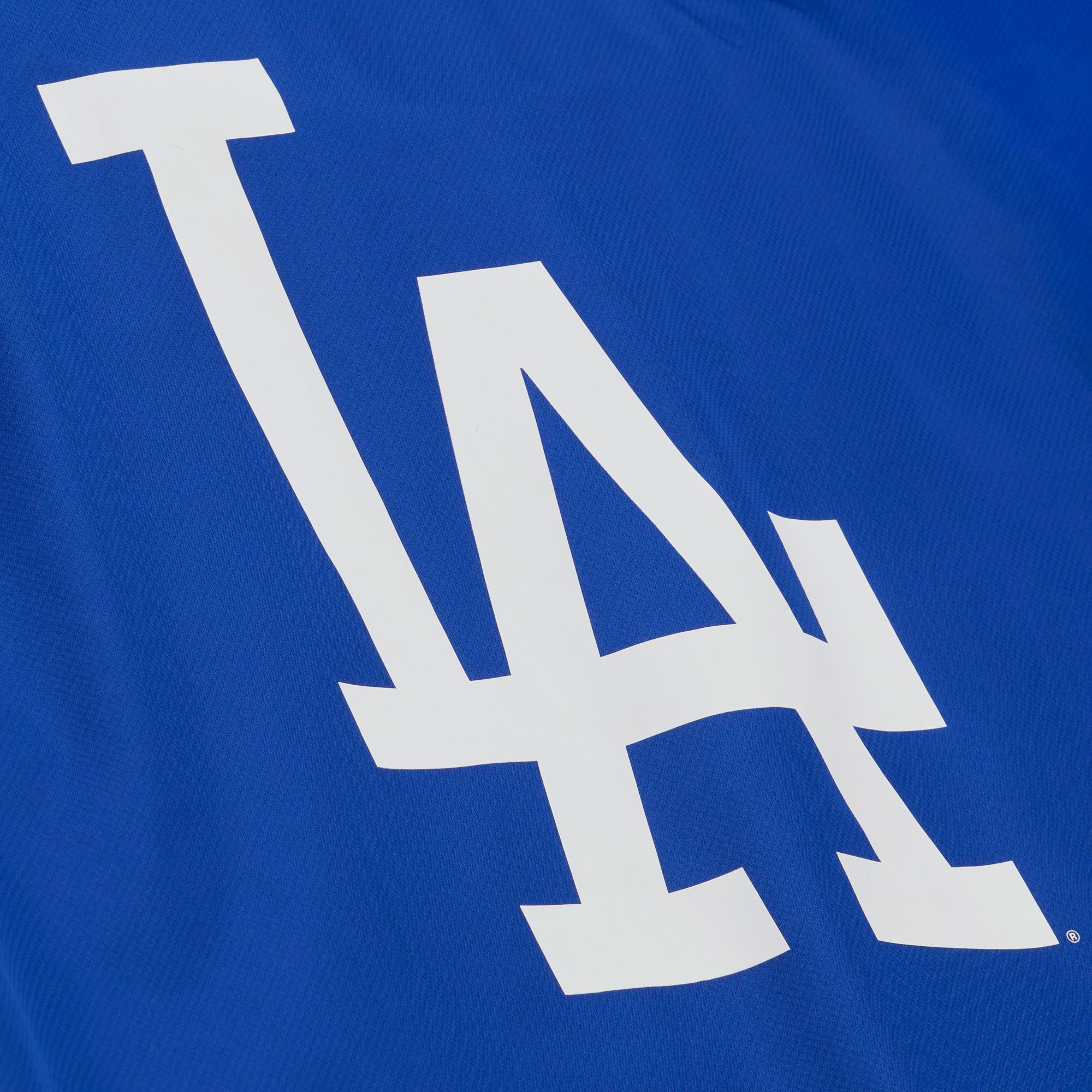 Mitchell & Ness Men's Los Angeles Dodgers Royal Cooperstown Coach Jacket product image