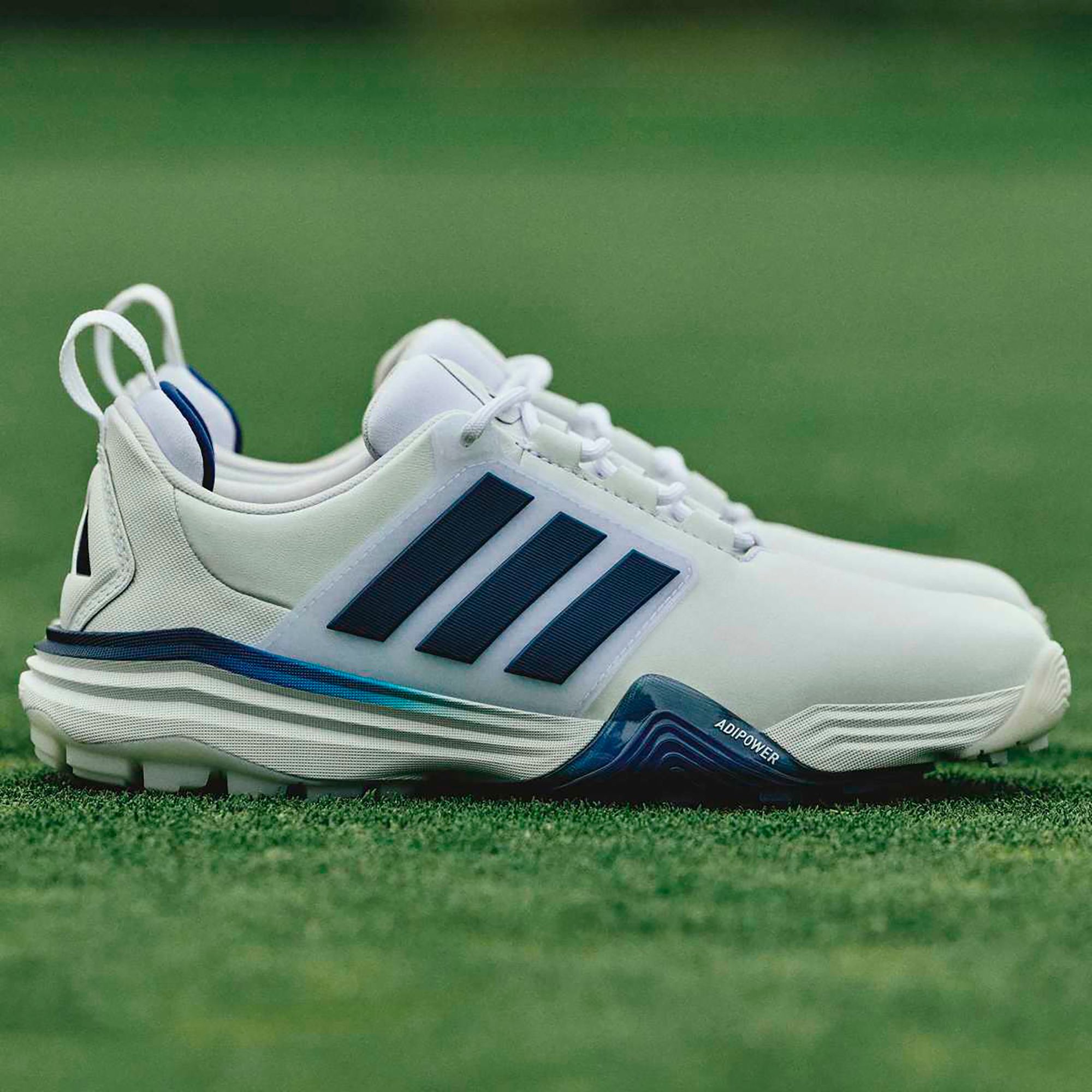 adidas Women's AdiPower Spikeless Golf Shoe product image