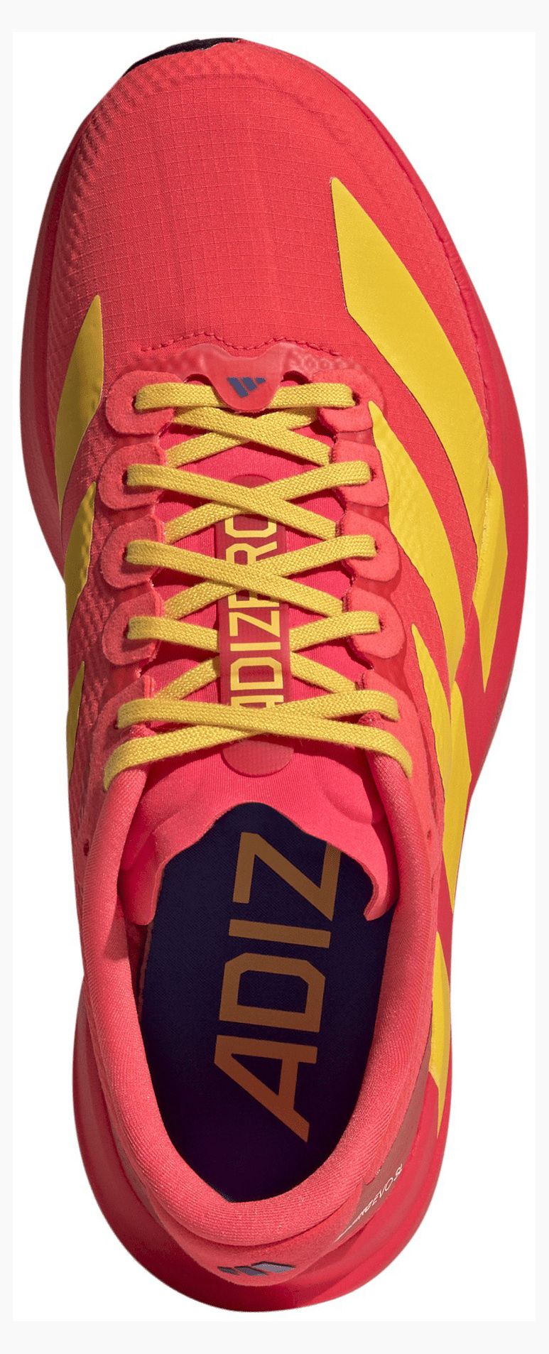 adidas Women's Adizero EVO SL Running Shoes product image