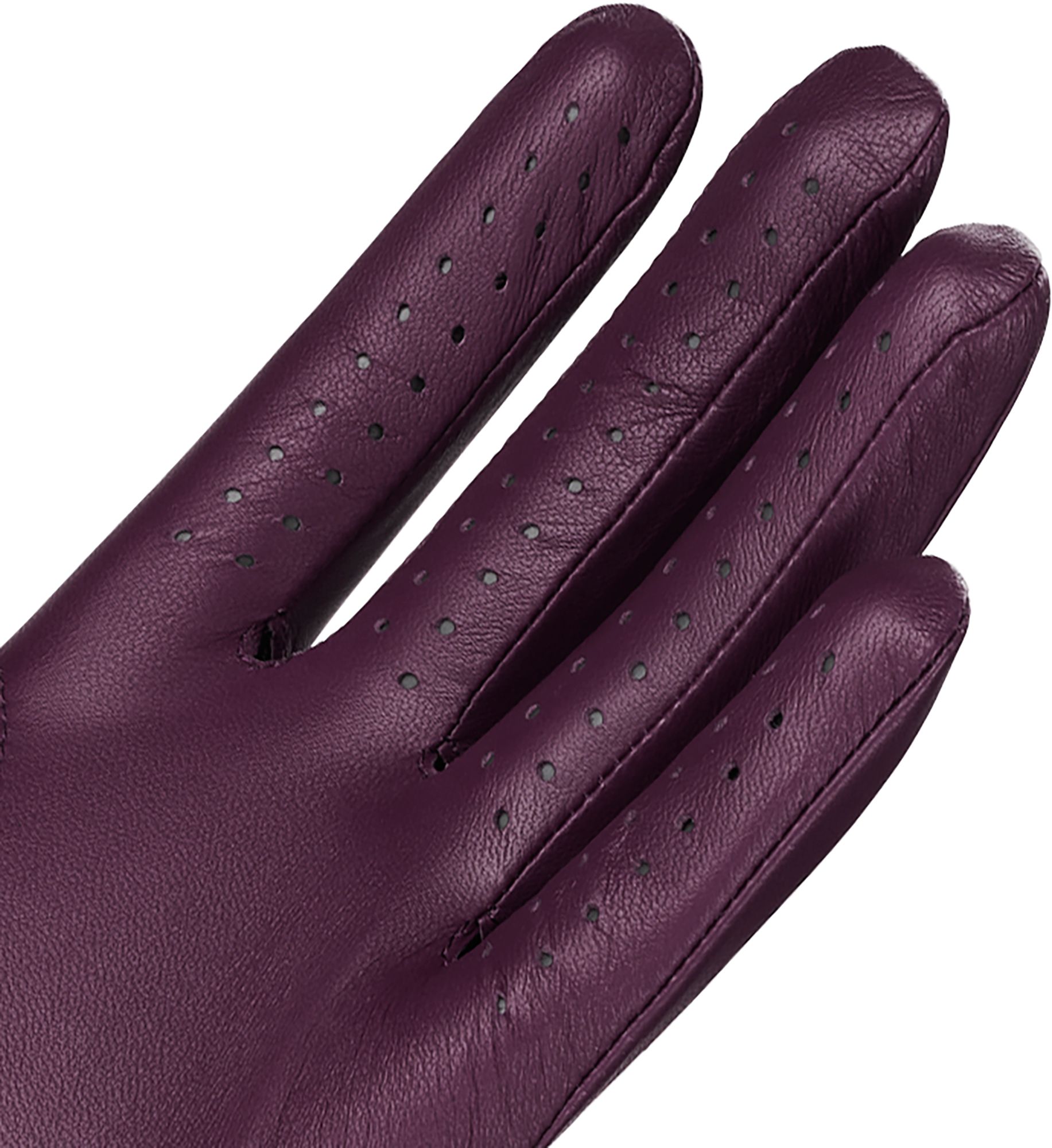Jordan 2025 Tour Golf Glove product image