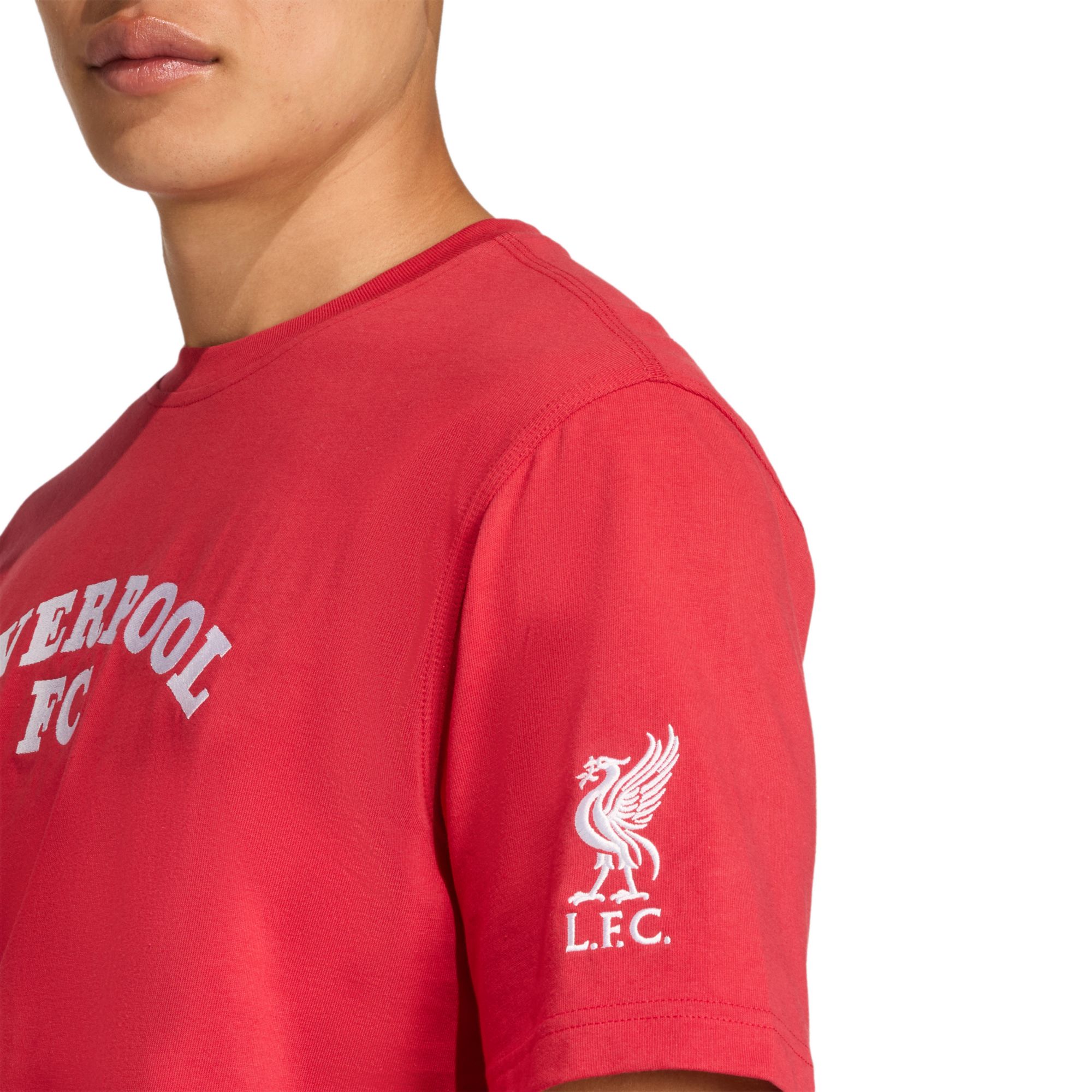 adidas Men's Liverpool FC 2025-26  Red Team Wordmark Special Edition Short Sleeve T-Shirt product image