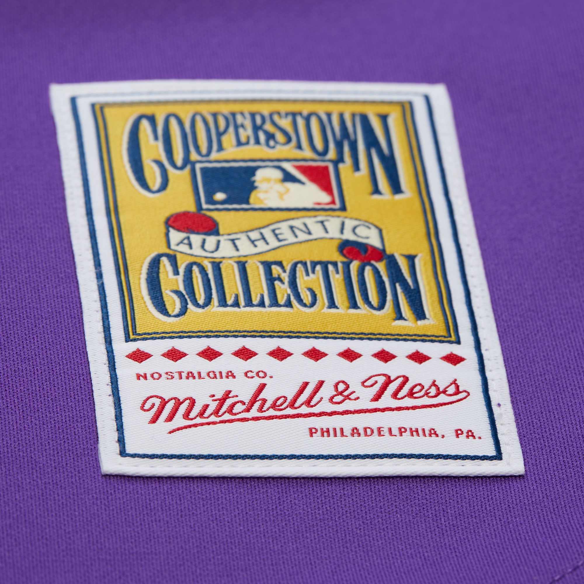 Mitchell & Ness Men's Arizona Diamondbacks Randy Johnson #51 Purple Authentic Alternate Jersey product image