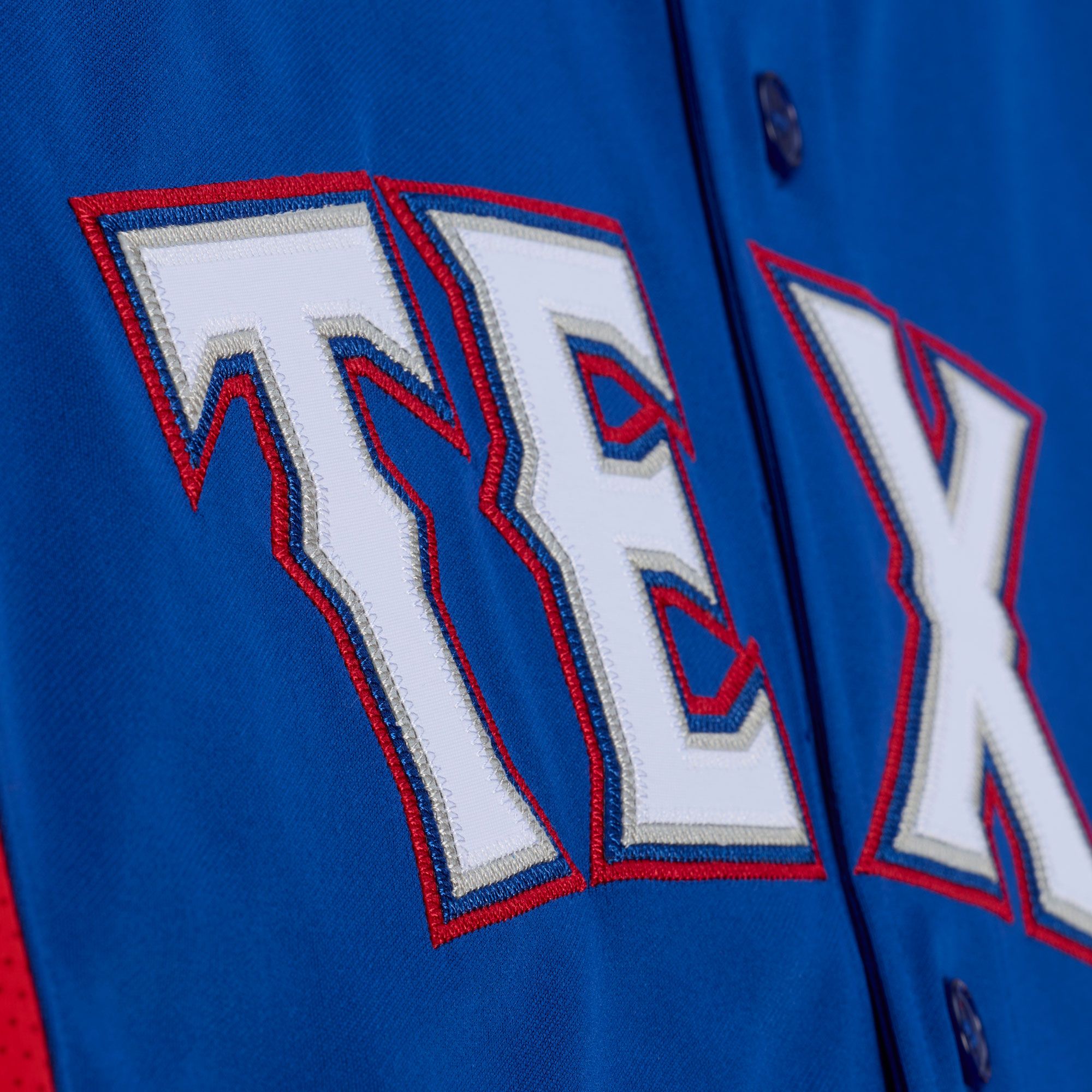 Mitchell & Ness Men's Texas Rangers Adrián Beltré #29 Royal Mesh Alternate Jersey product image