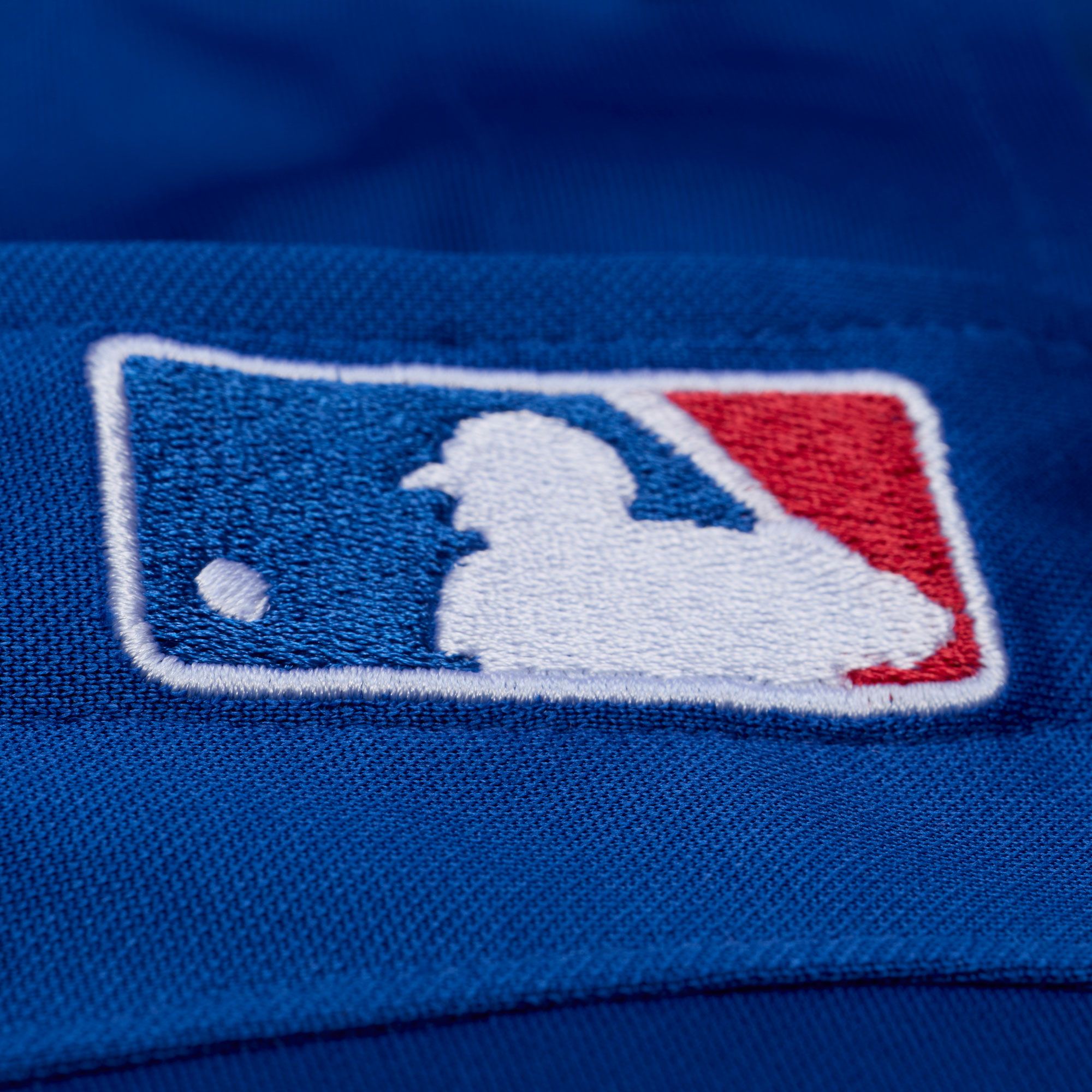 Mitchell & Ness Men's Texas Rangers Adrián Beltré #29 Royal Mesh Alternate Jersey product image