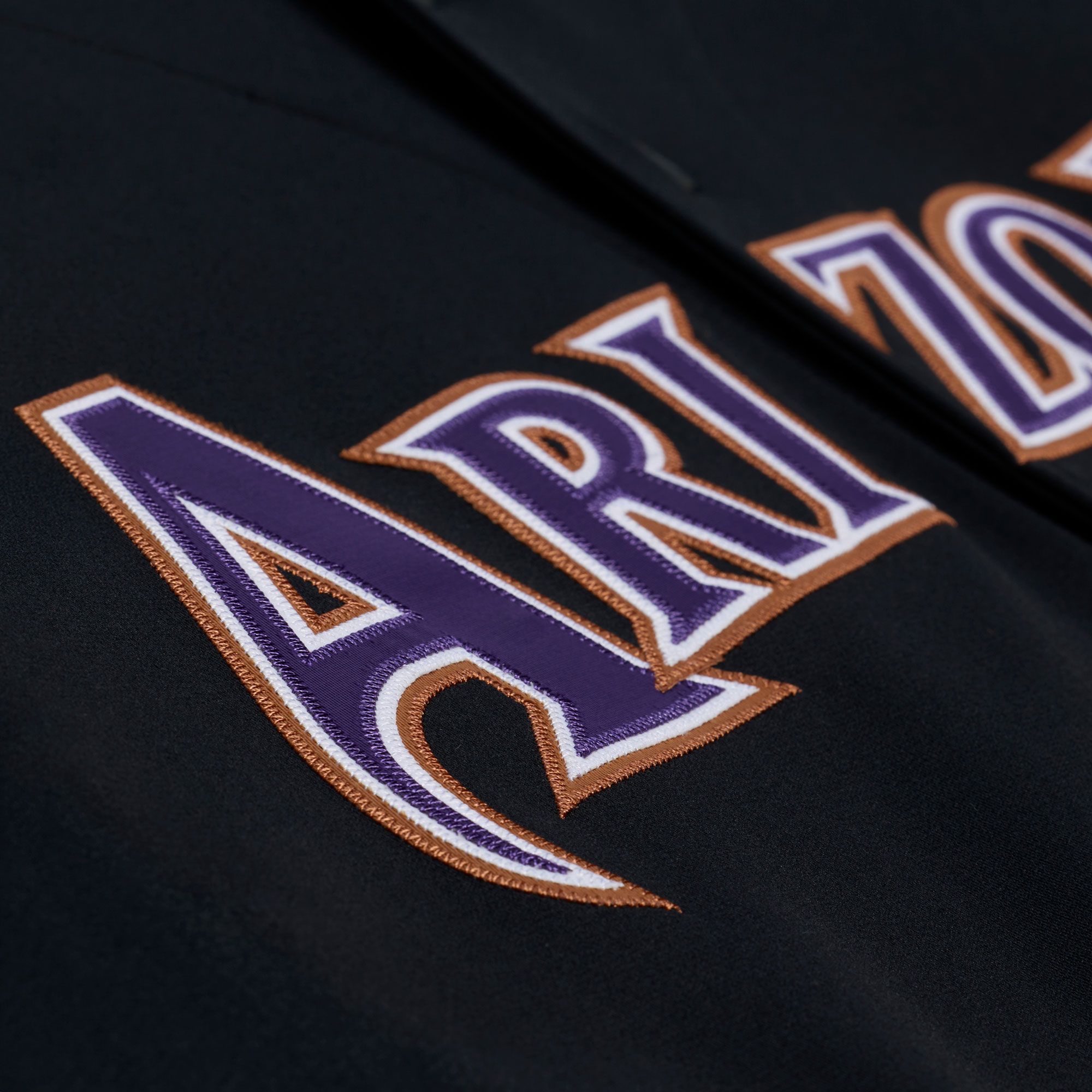 Mitchell & Ness Men's Arizona Diamondbacks Randy Johnson #51 Black Authentic Alternate Jersey product image