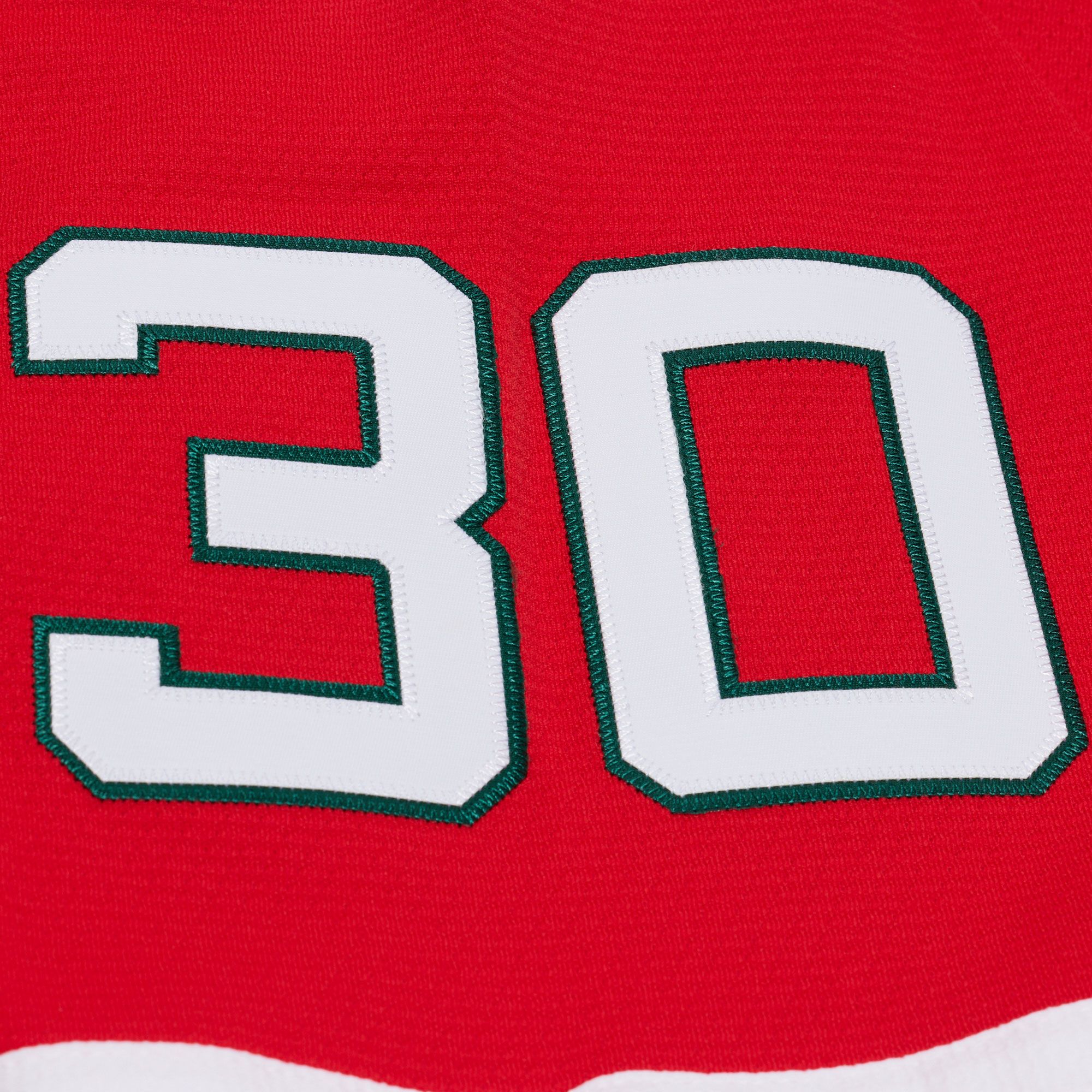 Mitchell & Ness Men's New Jersey Devils Martin Brodeur Premier Player Jersey product image