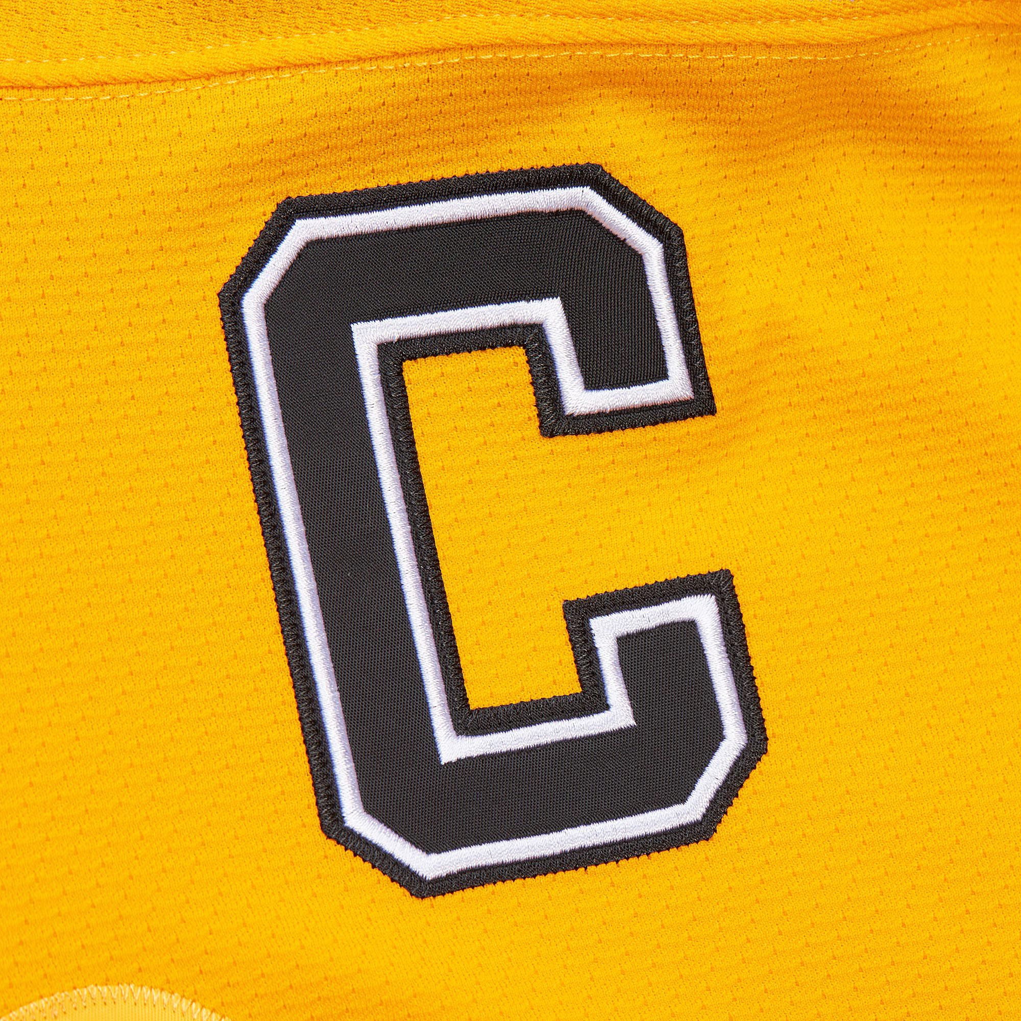 Mitchell & Ness Men's Boston Bruins Ray Bourque #77 1996 Vintage Alternate Replica Jersey product image