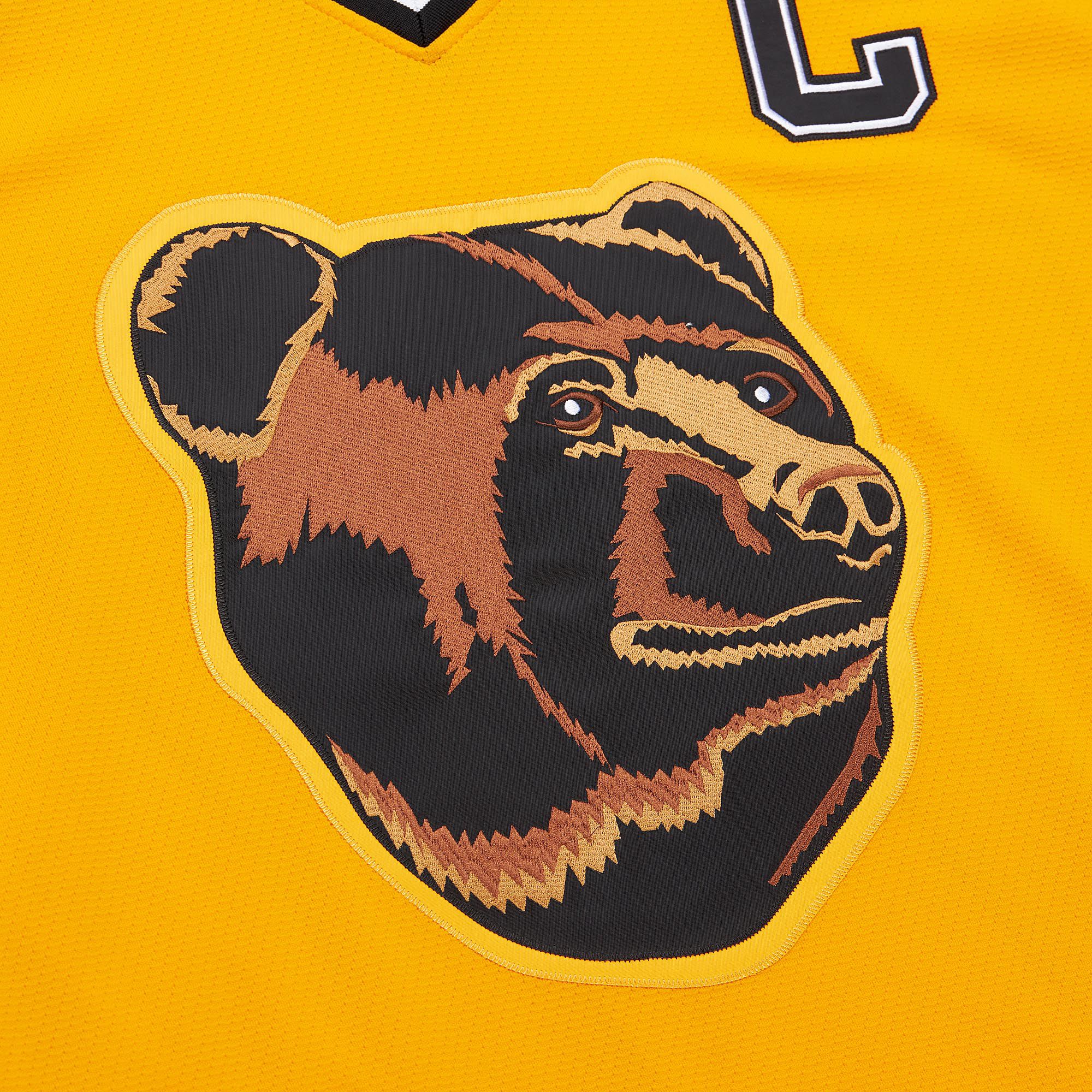 Mitchell & Ness Men's Boston Bruins Ray Bourque #77 1996 Vintage Alternate Replica Jersey product image