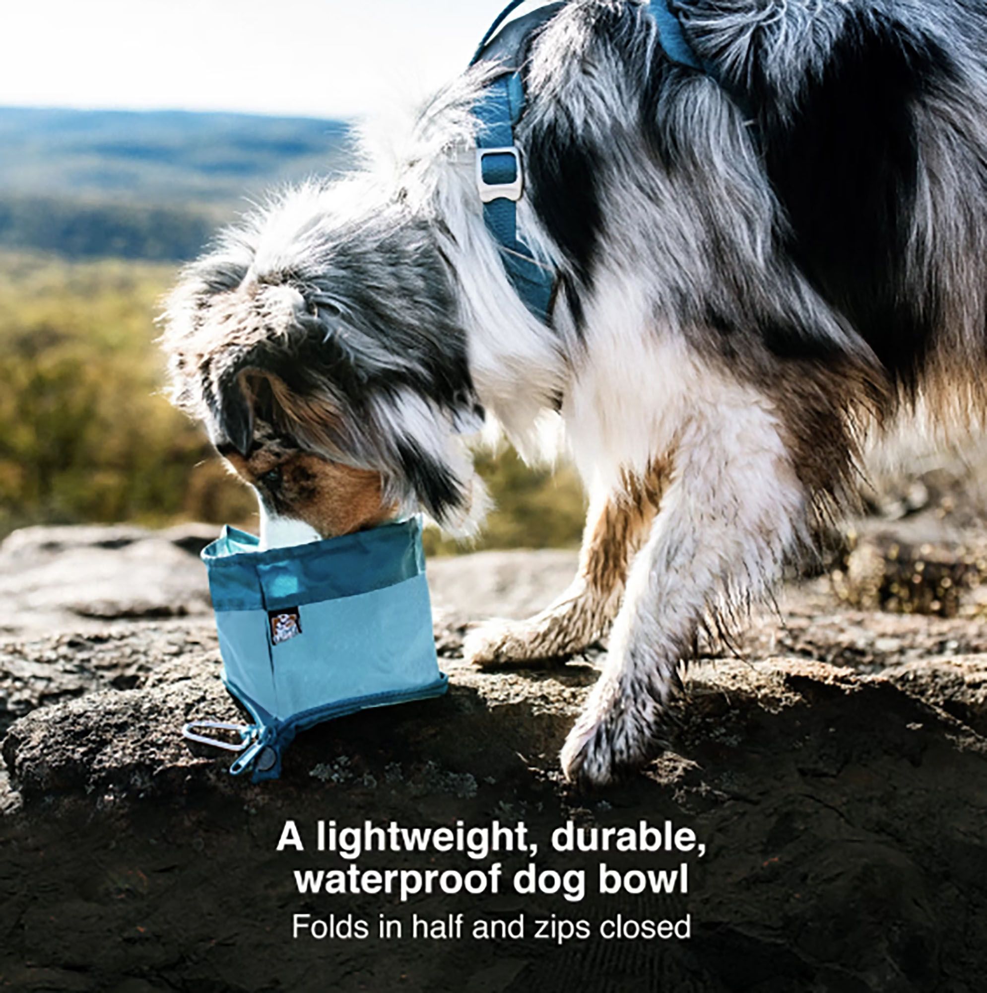 Kurgo Zippy Bowl product image
