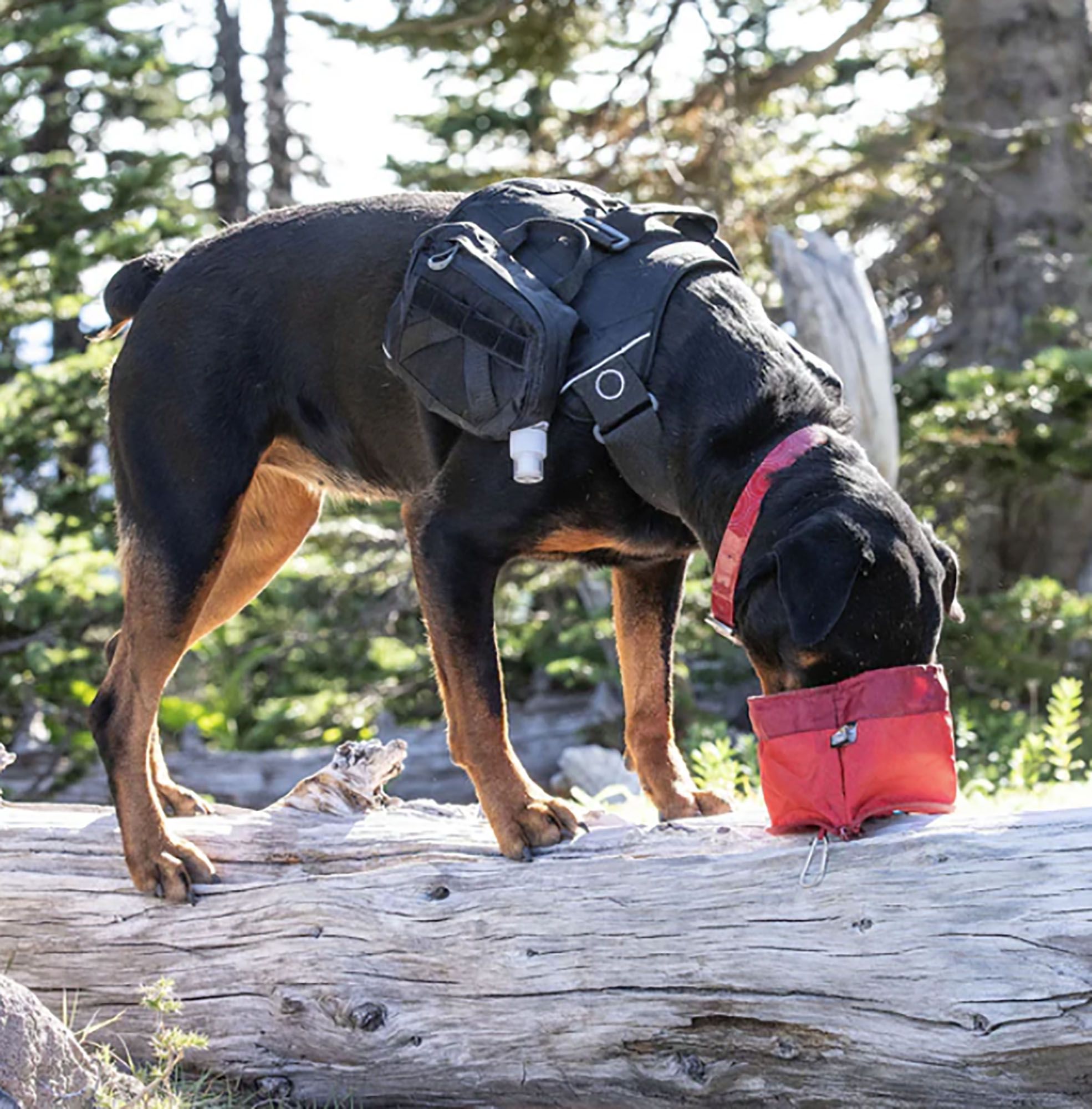 Kurgo Zippy Bowl product image