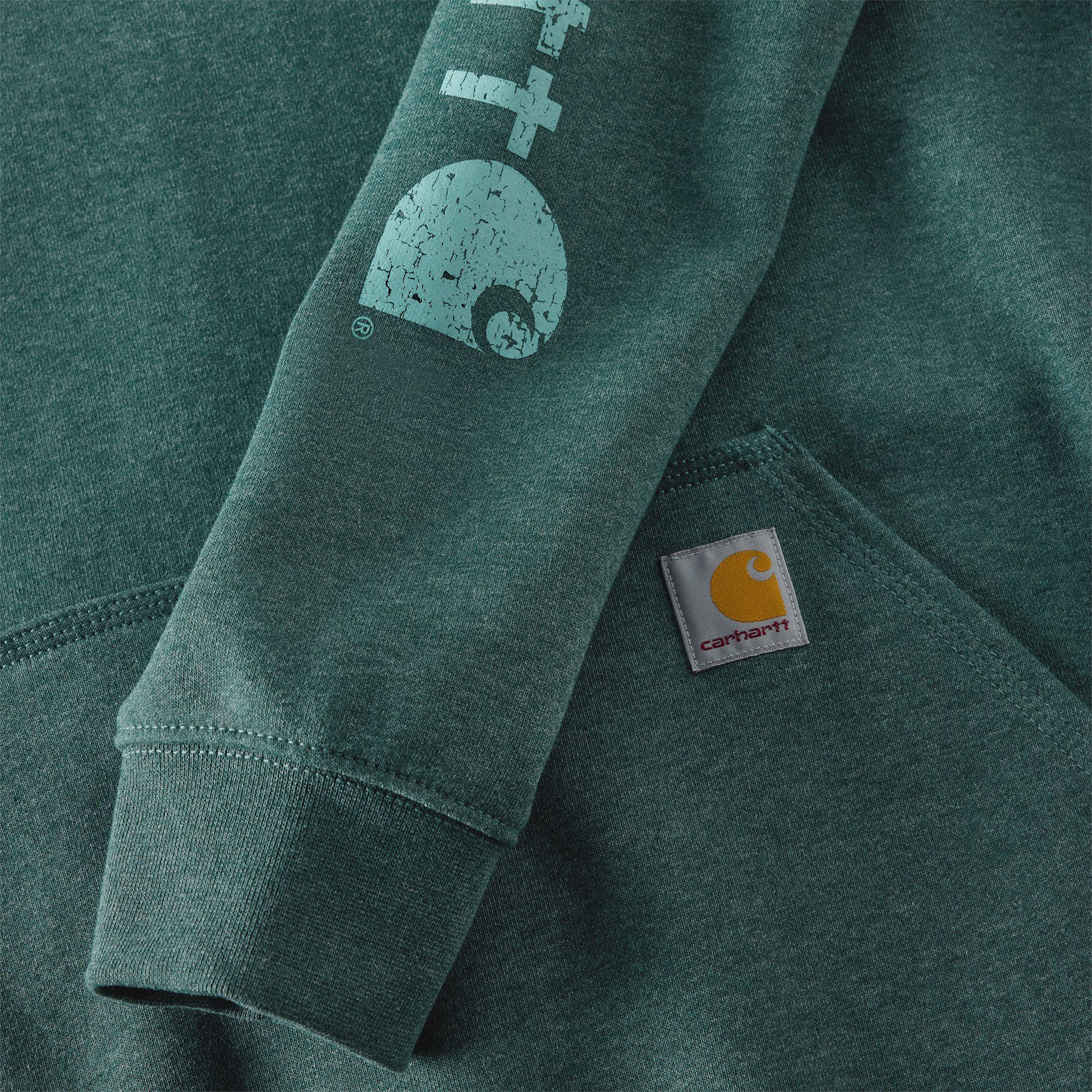 Carhartt Men's K288 Hoodie product image