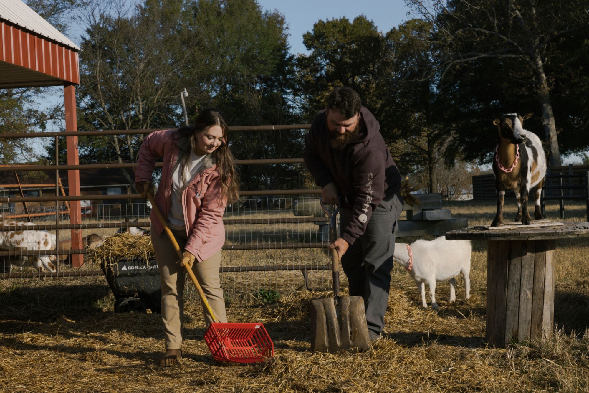 Carhartt Men's K288 Hoodie product image