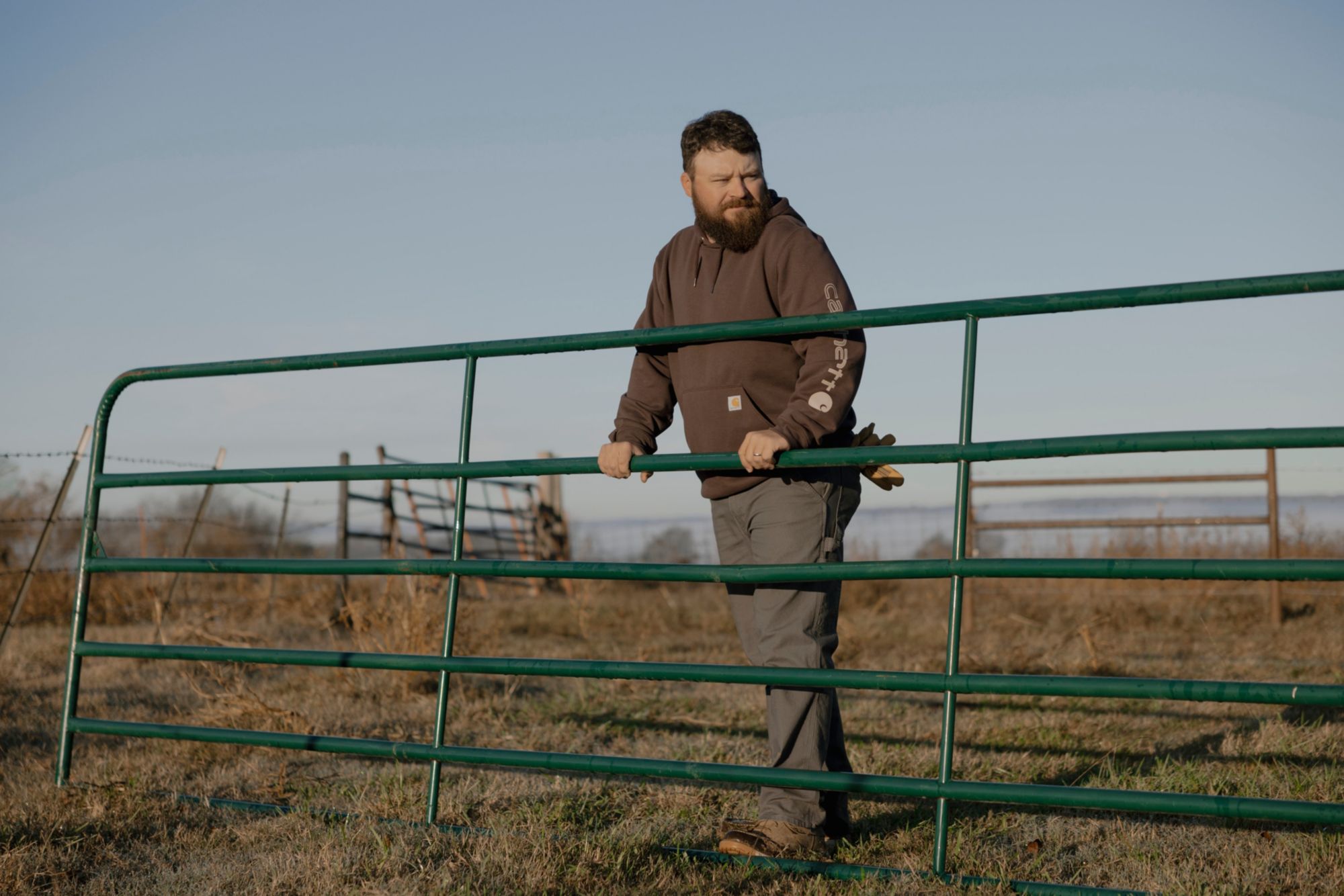 Carhartt Men's K288 Hoodie product image