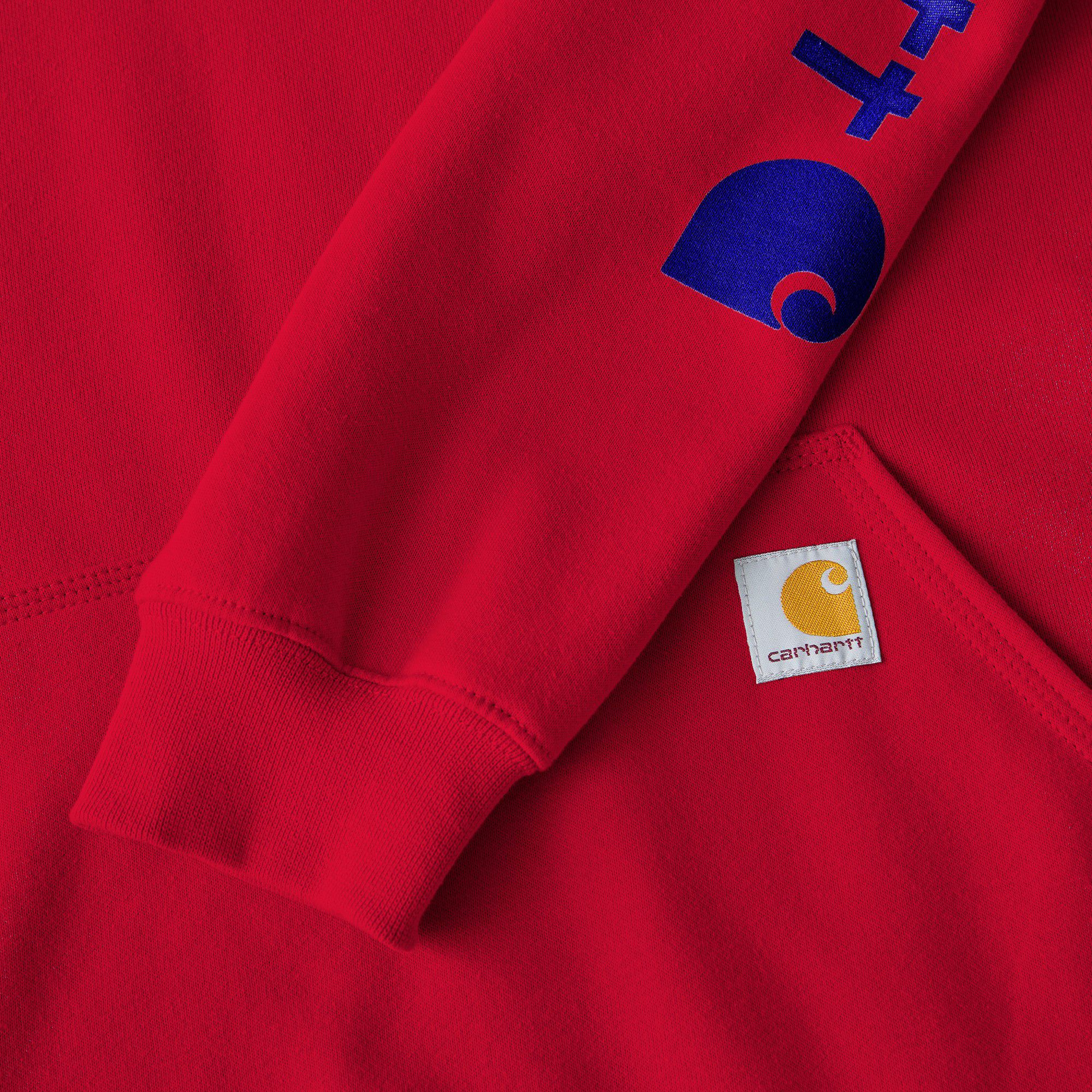 Carhartt Men's K288 Hoodie product image