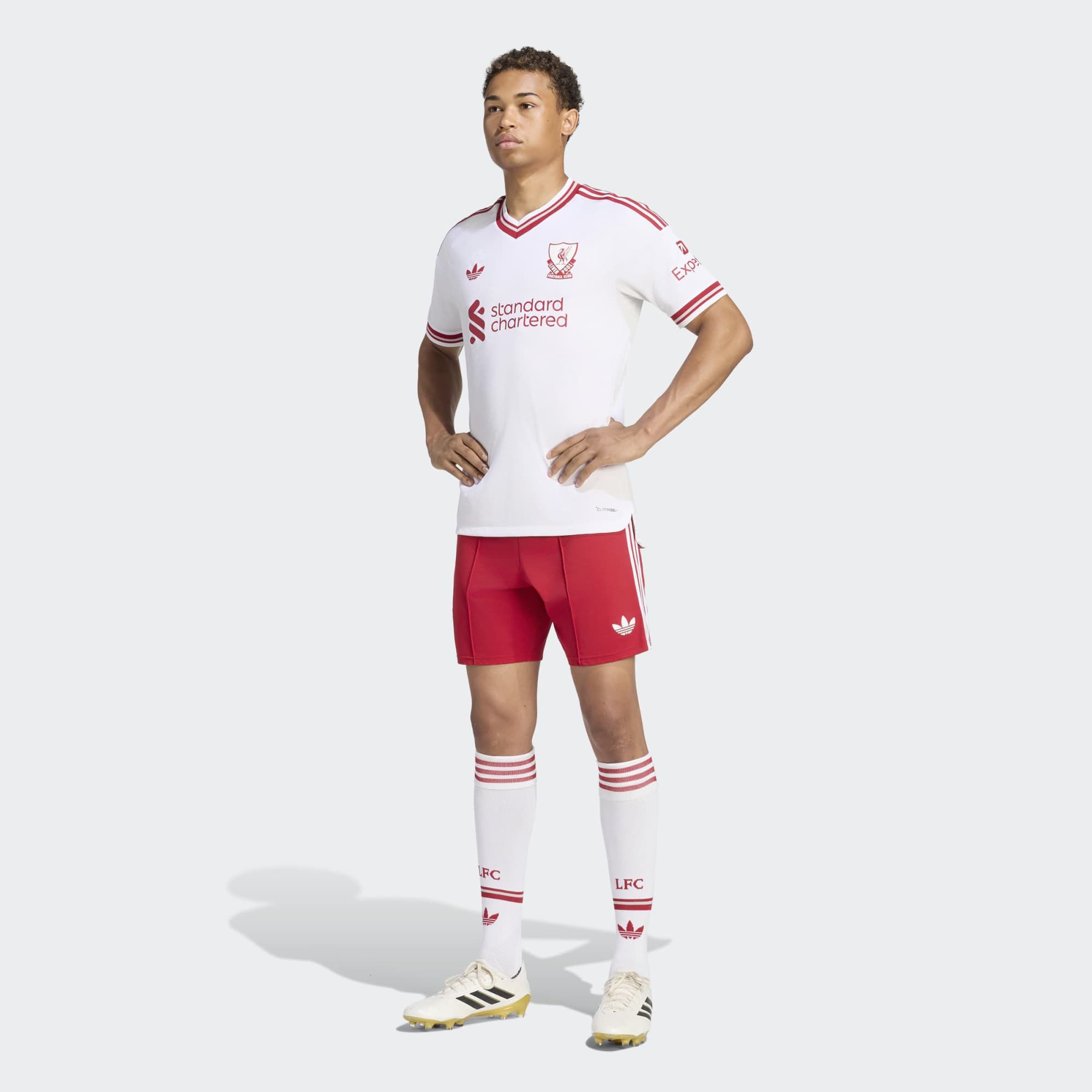 adidas Adult Liverpool FC 2026 Away Authentic Jersey | Dick's