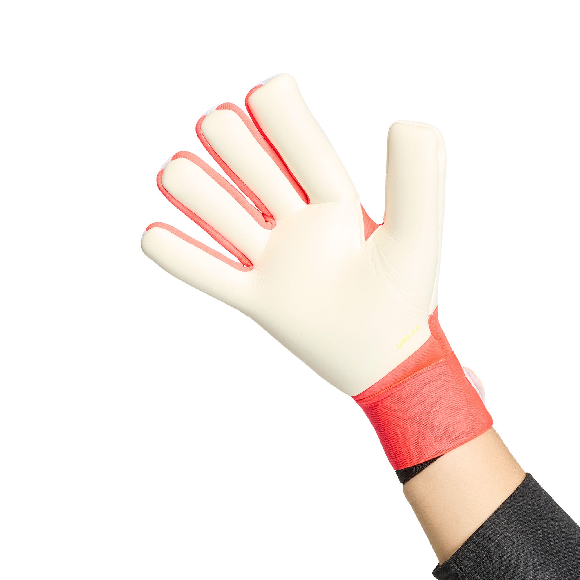 adidas Predator Competition Goalkeeper Gloves product image