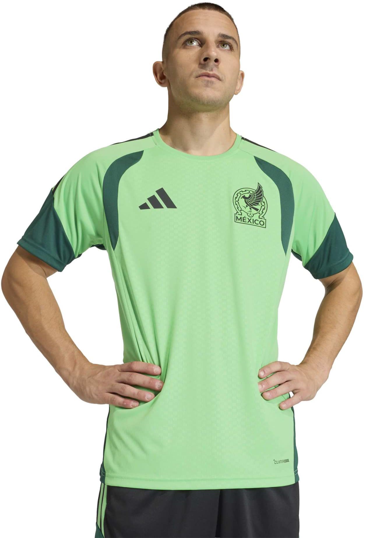 adidas Adult Mexico 2026 Home Training Jersey product image