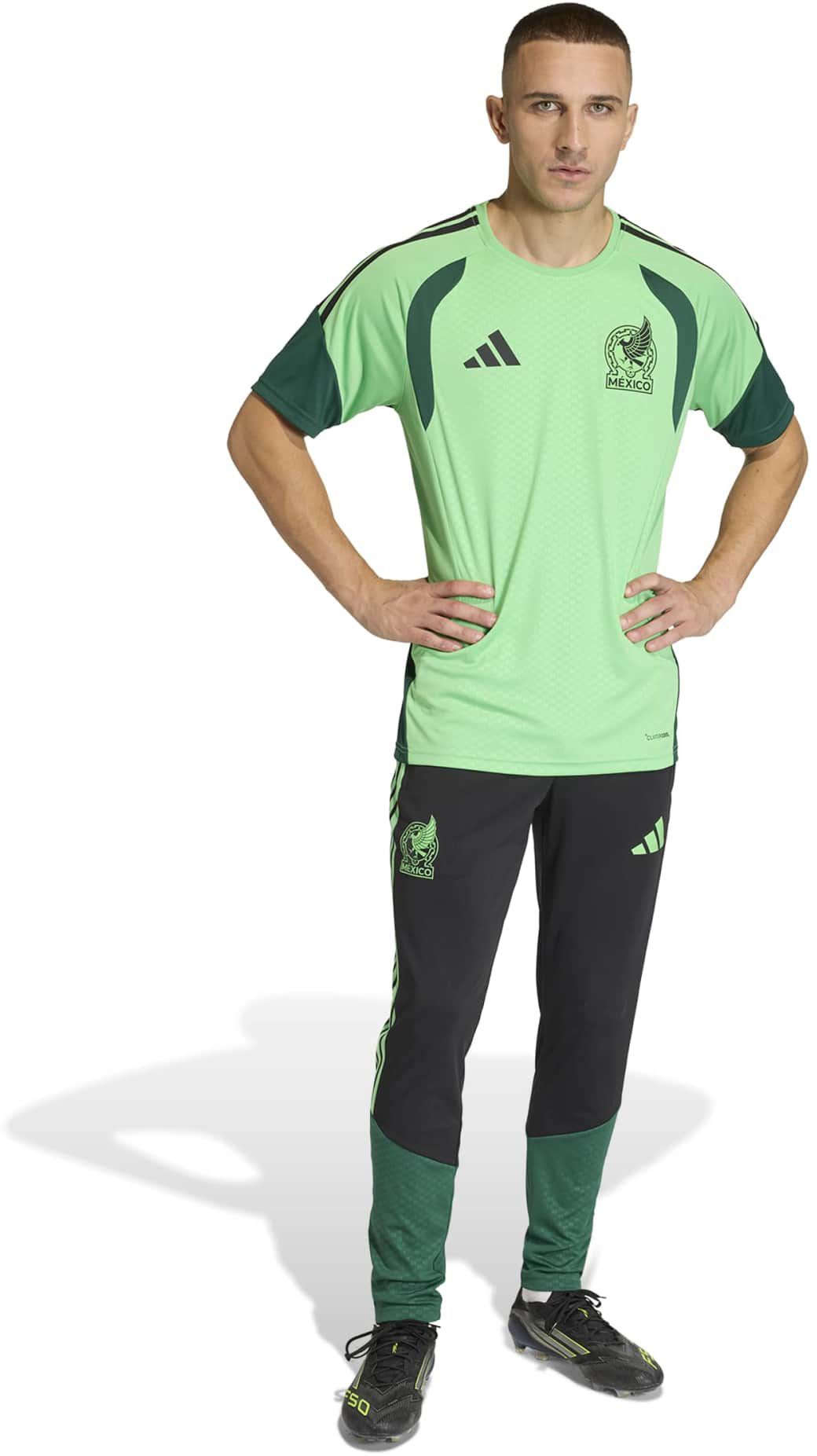 adidas Men's Mexico 2026 Tiro Training Pants product image