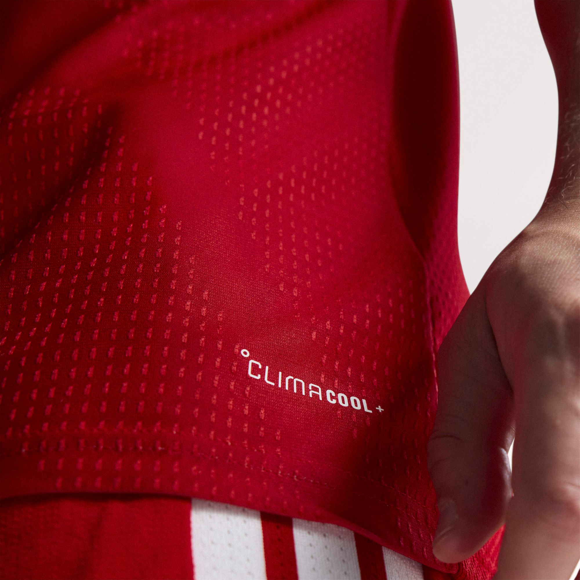 adidas Adult Wales 2026 Home Authentic Jersey product image