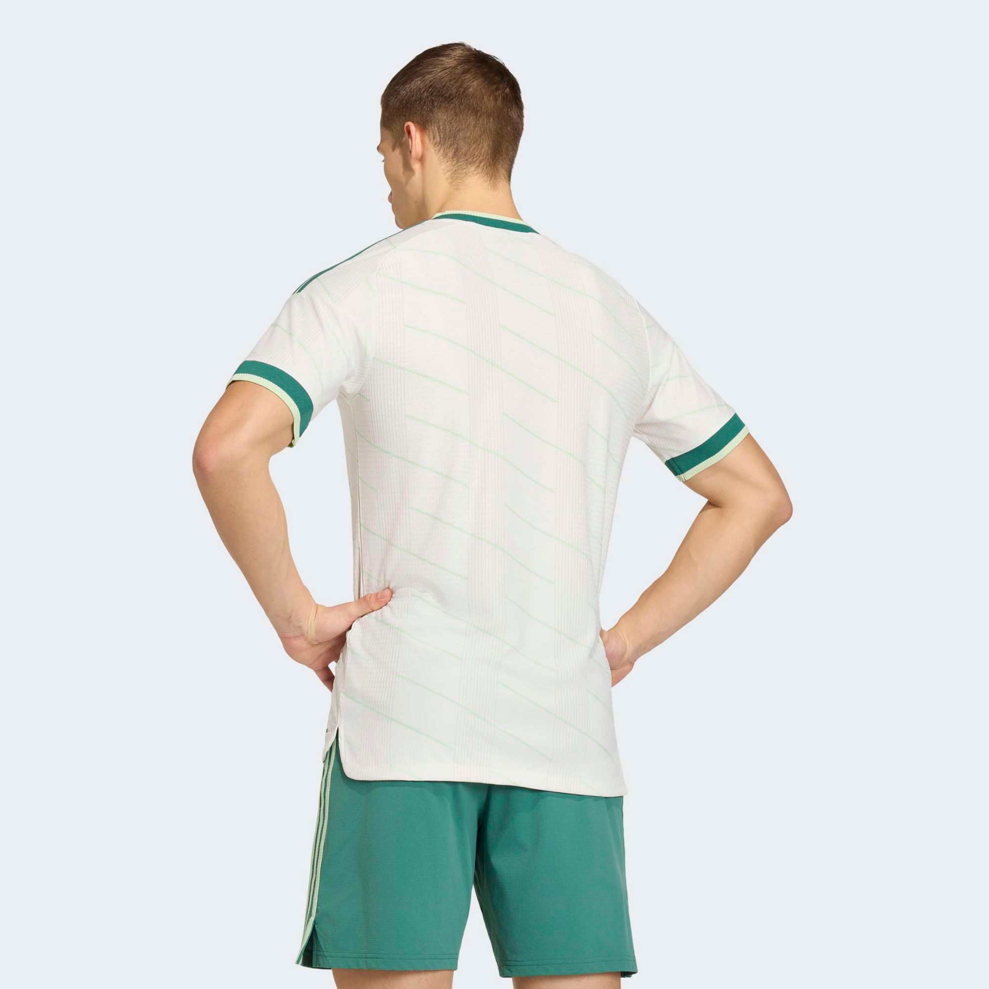 adidas Adult Northern Ireland 2026 Away Authentic Jersey product image