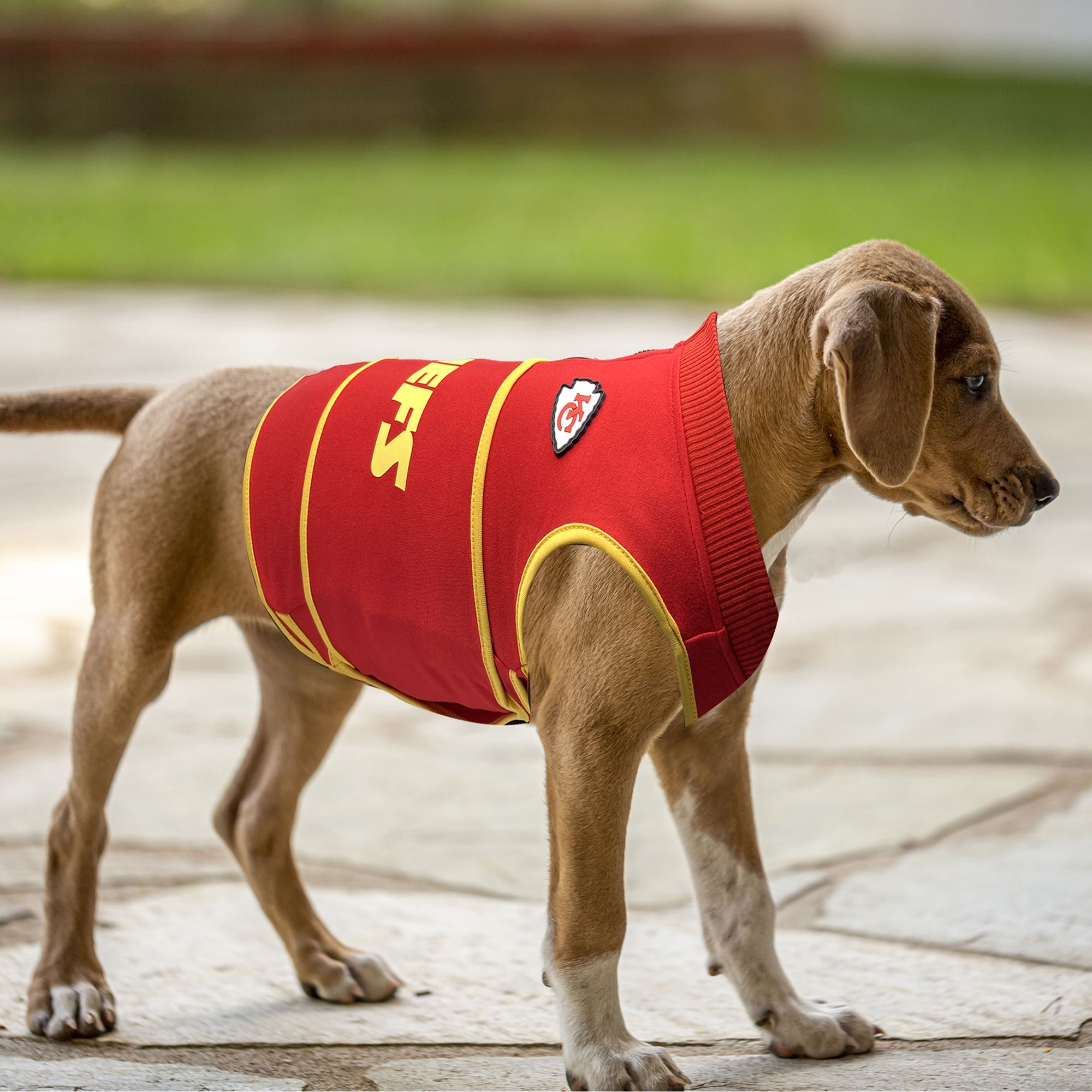 Pets First Kansas City Chiefs Soothing Vest product image