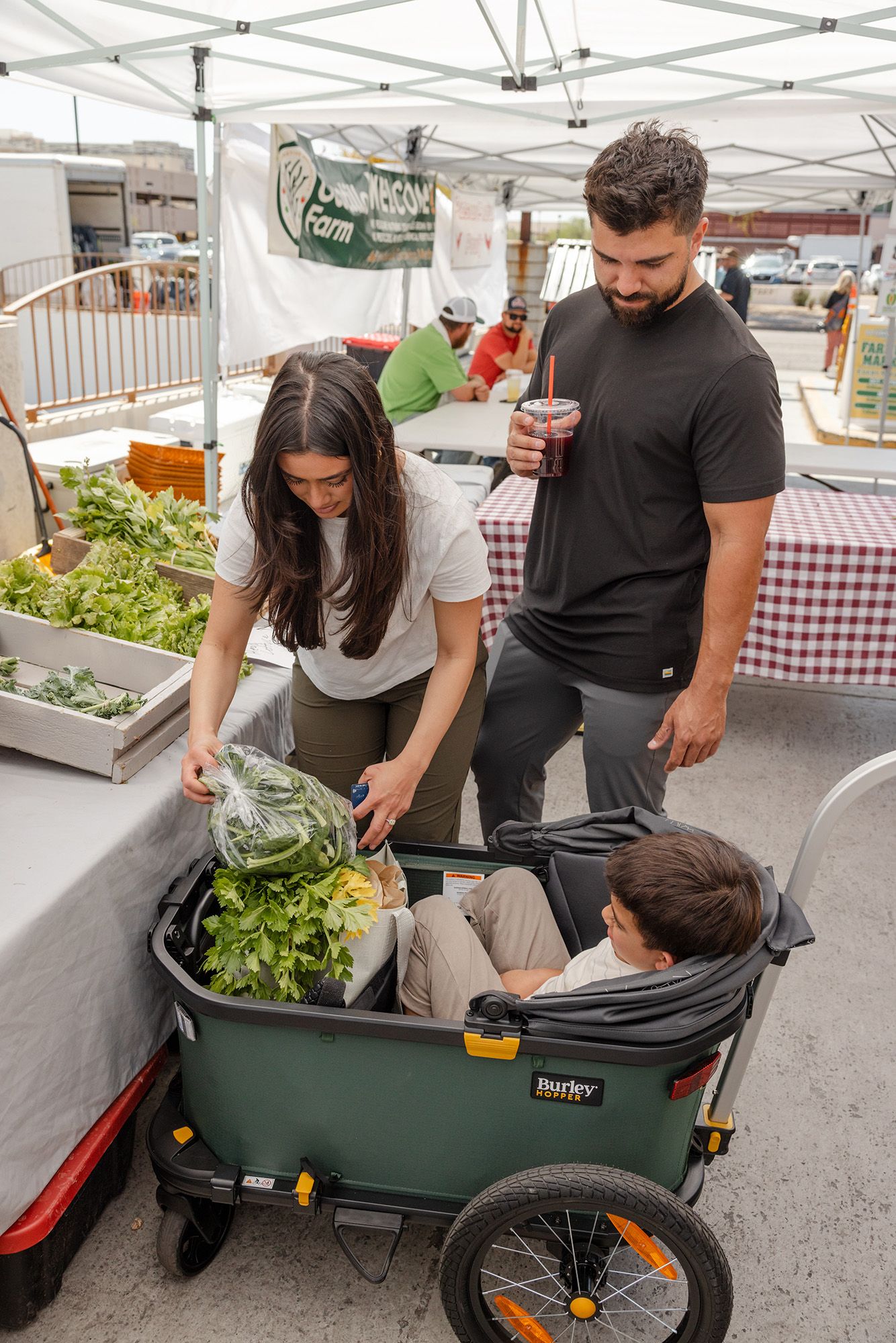 Burley Hopper Bike Trailer and Stroller Wagon product image