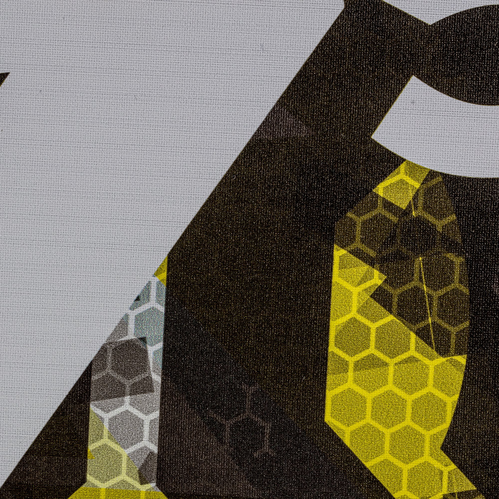 Onix Sports Z5 Graphite Pickleball Paddle product image