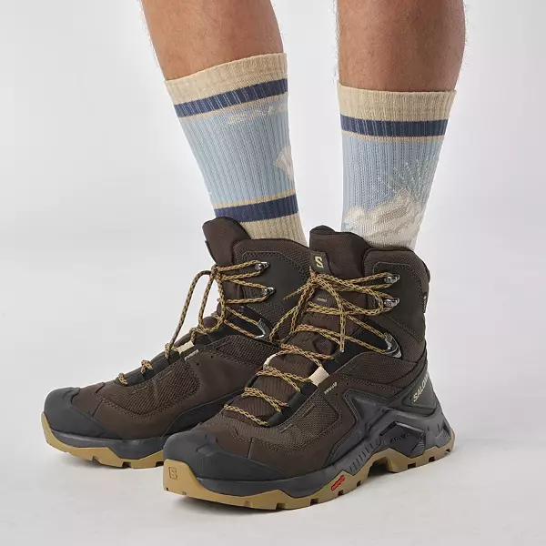 Salomon Men's Quest Element GTX Hiking Boots, Delicioso