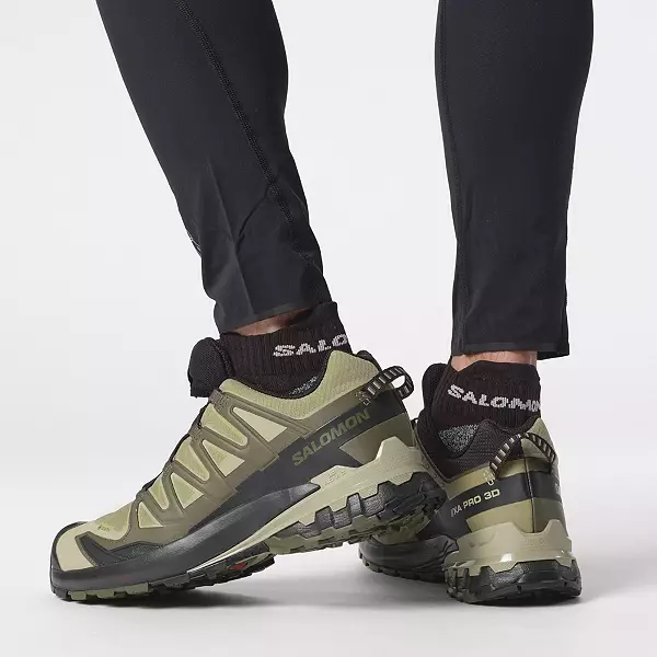 Salomon Men's xA Pro 3D V9 GORE-TEX Trail Running Shoes, Dried Herb / Black / Olive Night / 11.5