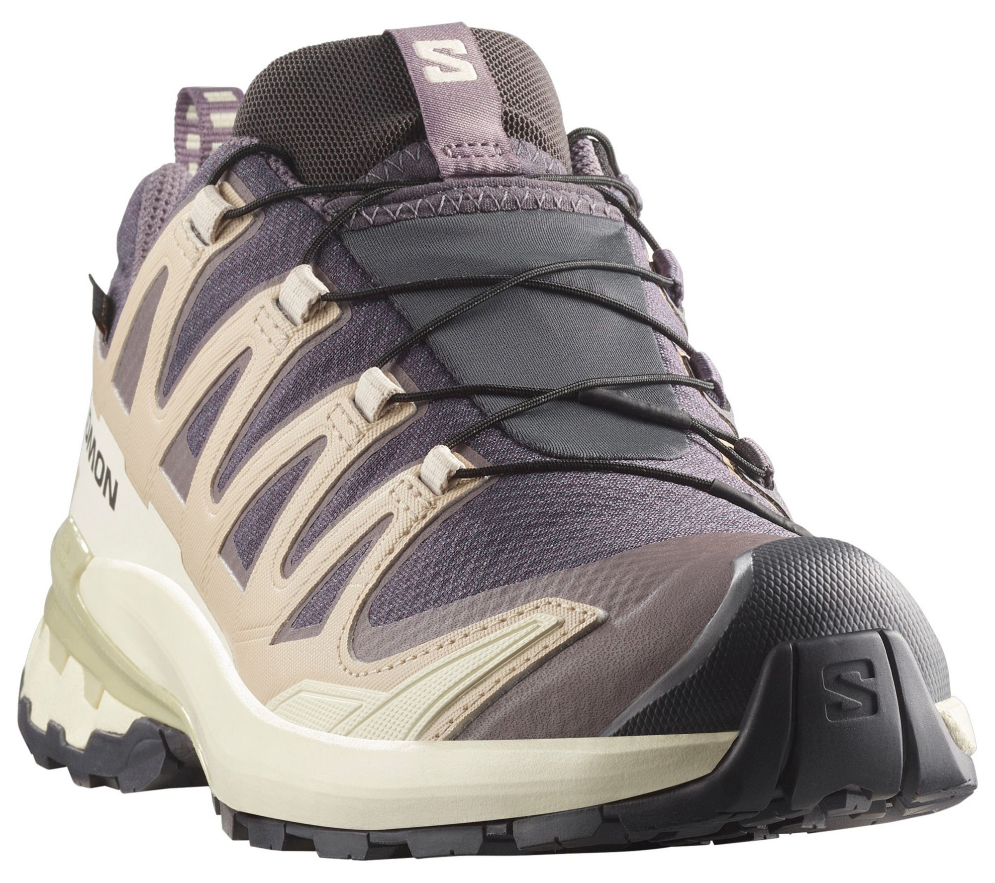 Salomon Women's XA Pro 3D V9 GTX Shoe product image
