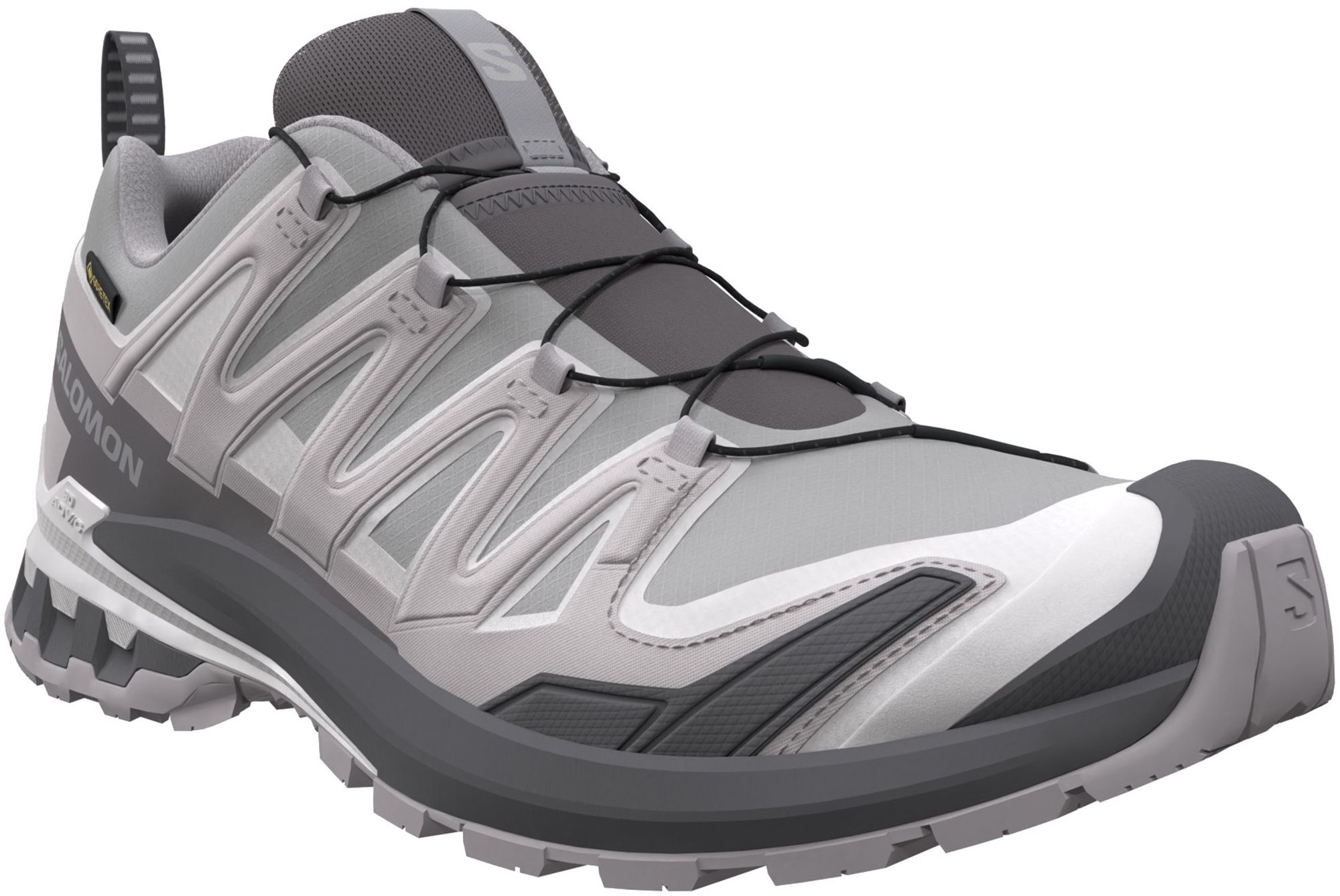 Salomon Men's XA Pro 3D V9 GTX Shoe product image