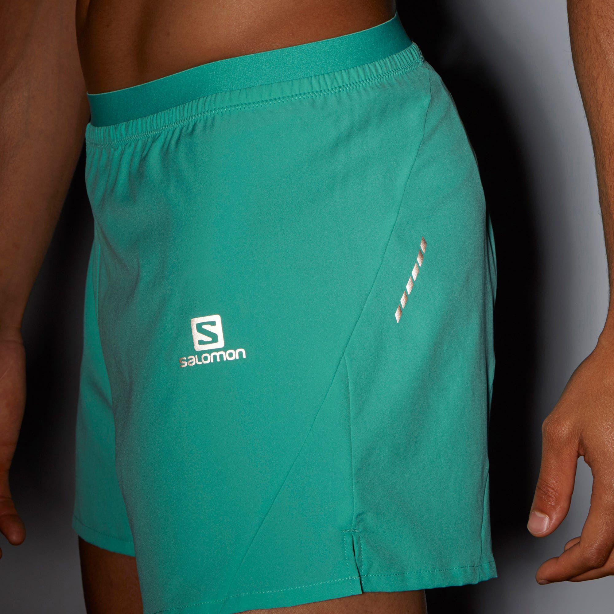 Salomon Men's Cross Shorts product image