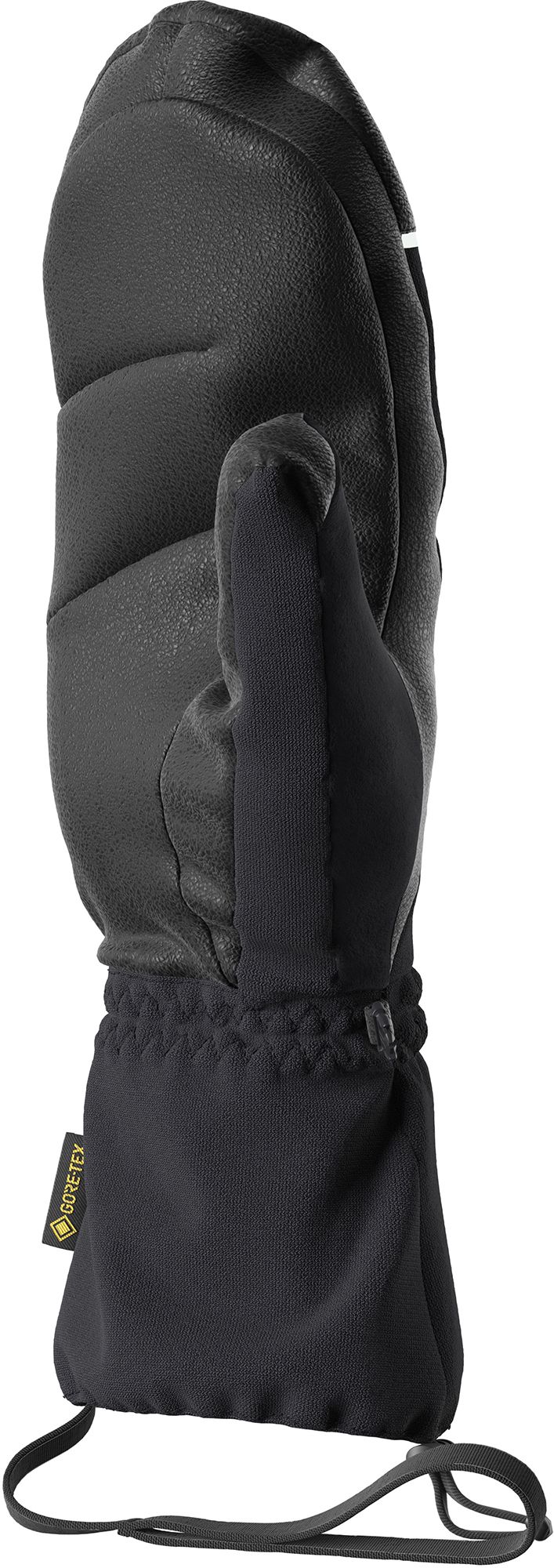 Salomon Men's Propeller Gore-Tex Mittens