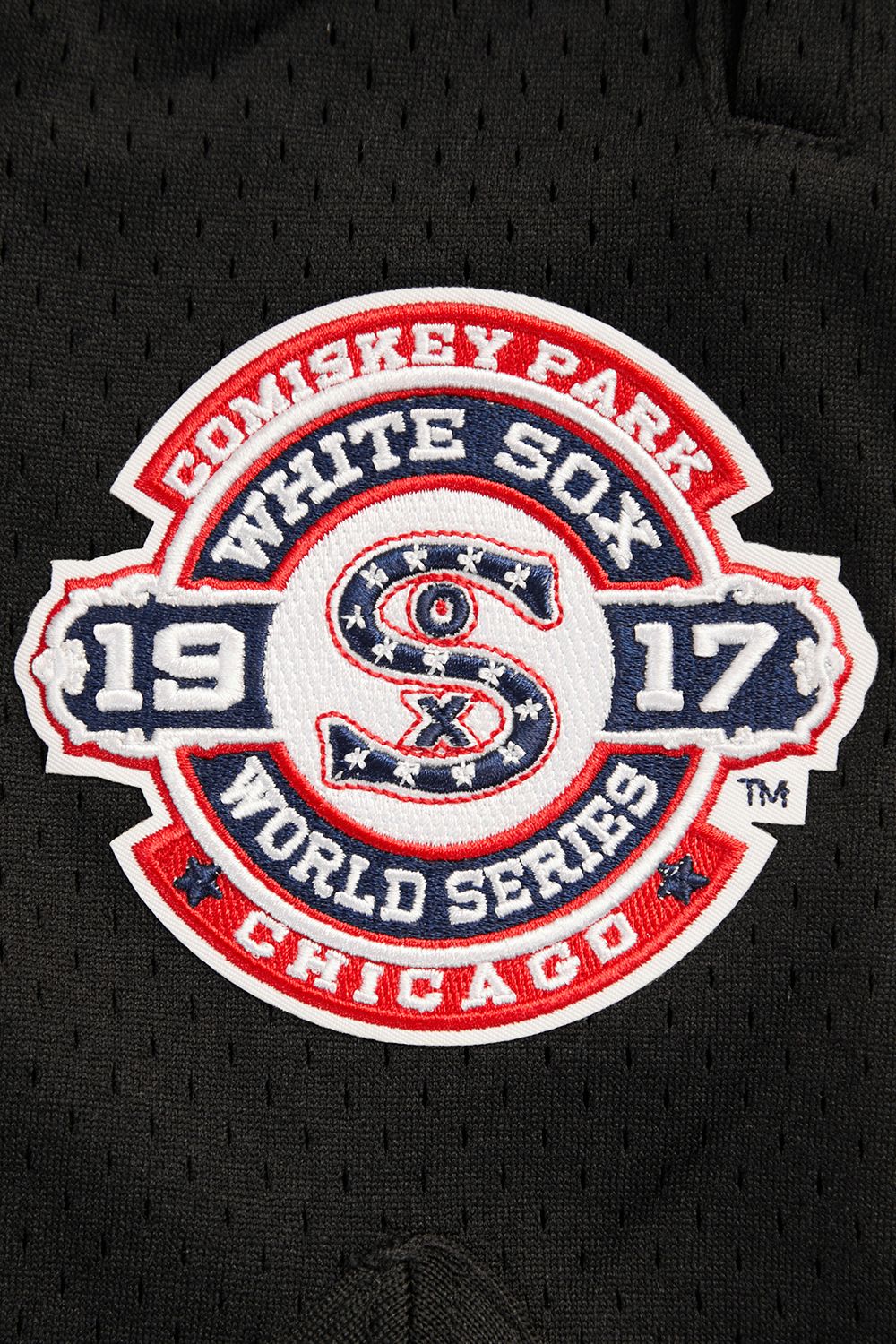 Pro Standard Men's Chicago White Sox Retro Double Knit 2.0 Shorts product image