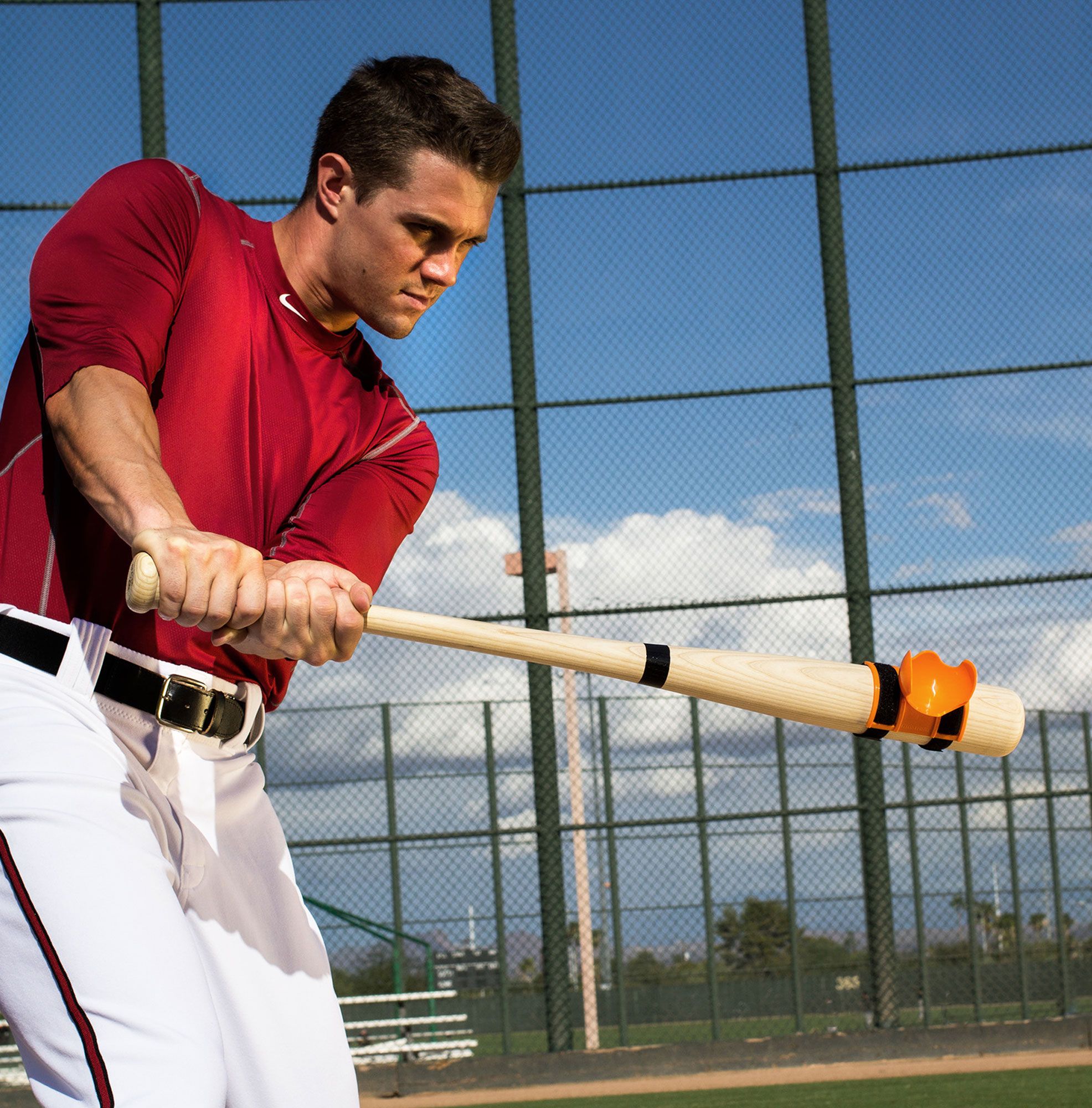 linedrivepro swing trainer
