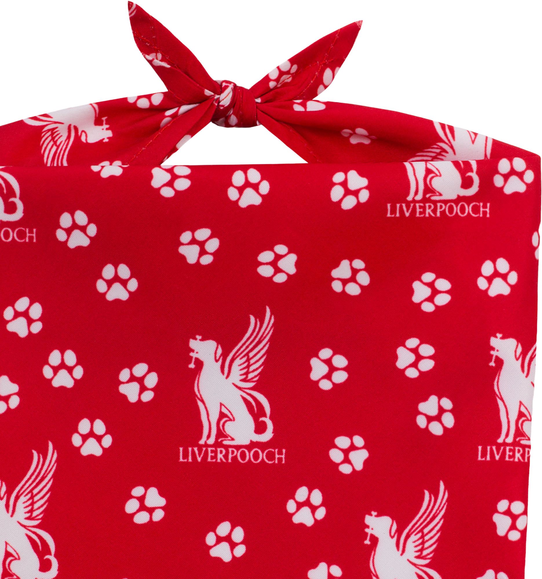 Floofball Liverpooch Soccer Kit S Ball S Band Bundle product image