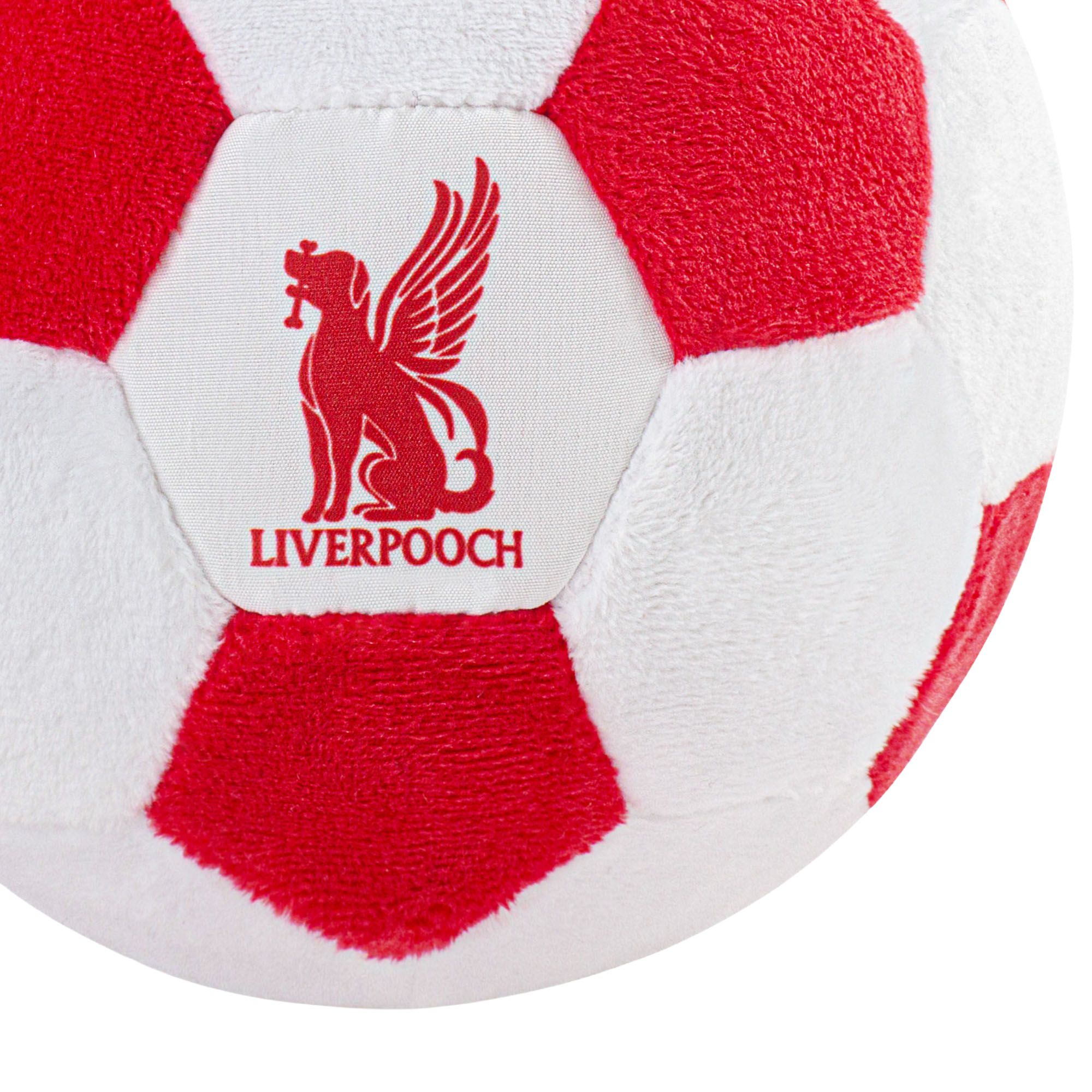 Floofball Liverpooch Soccer Kit S Ball L Band Bundle product image