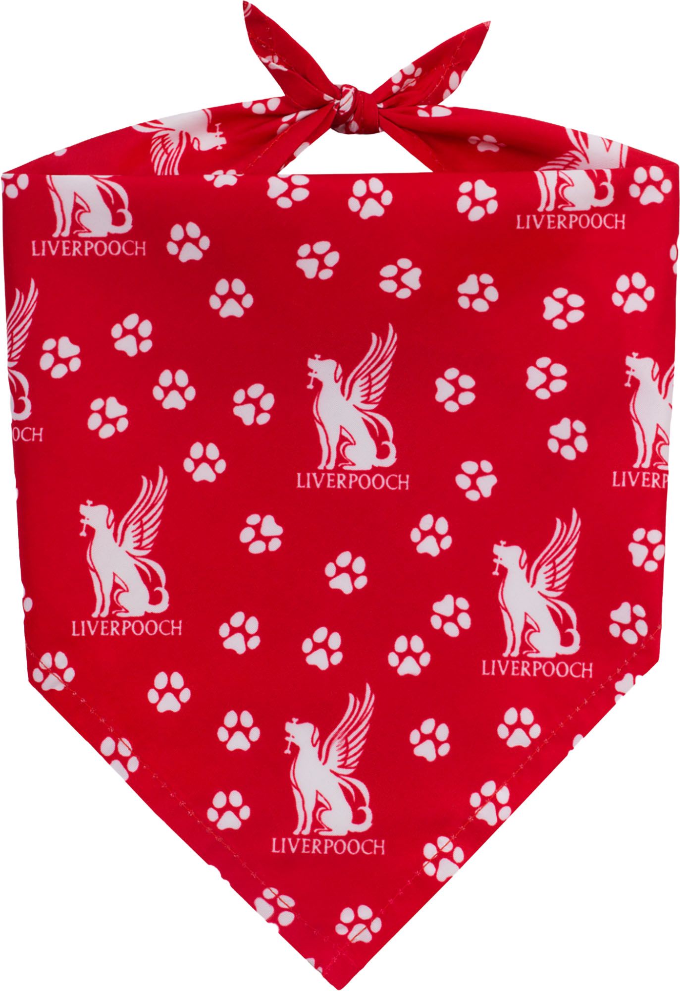 Floofball Liverpooch Soccer Kit S Ball L Band Bundle product image